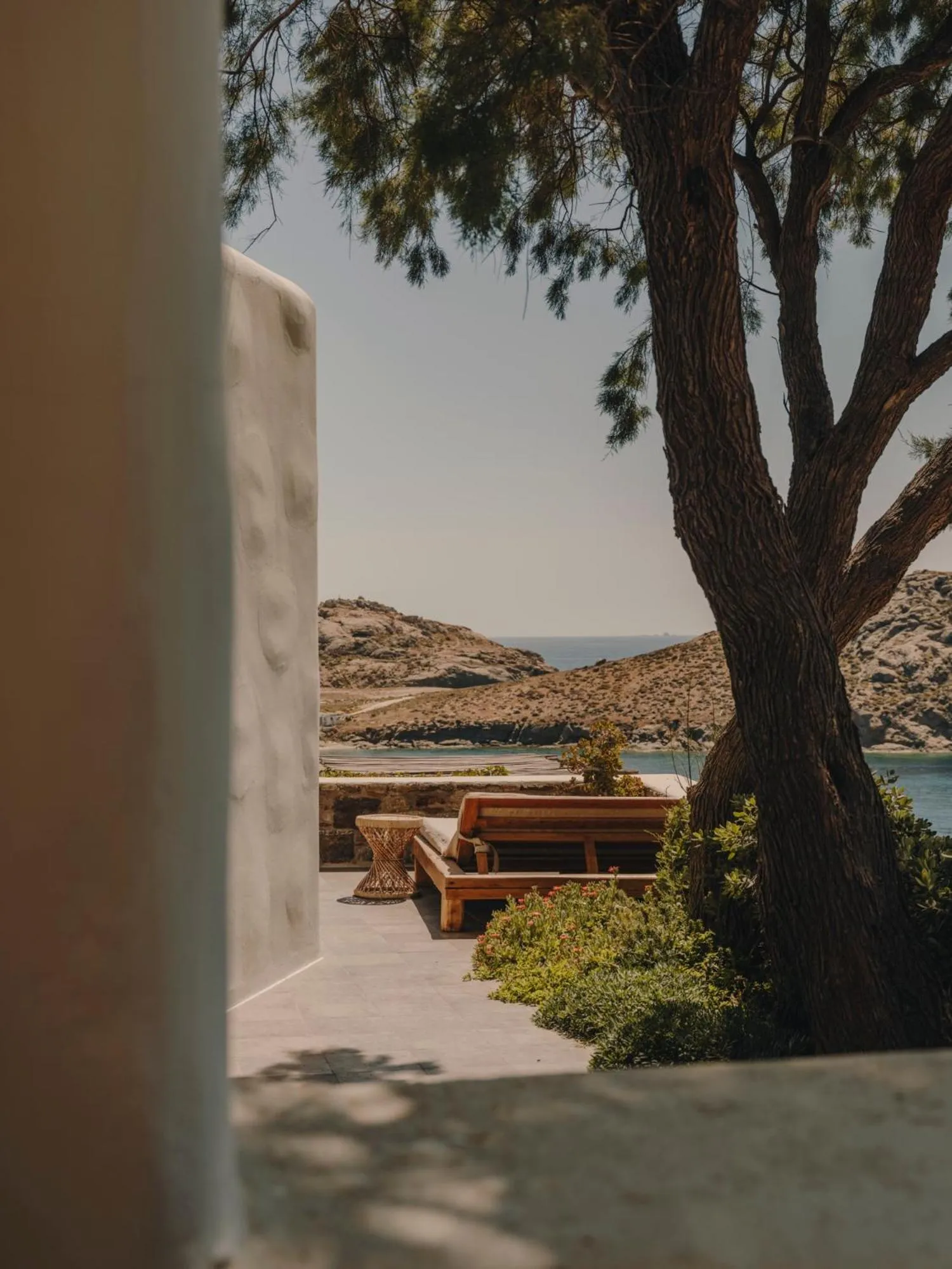 Day in The Wild by Interni