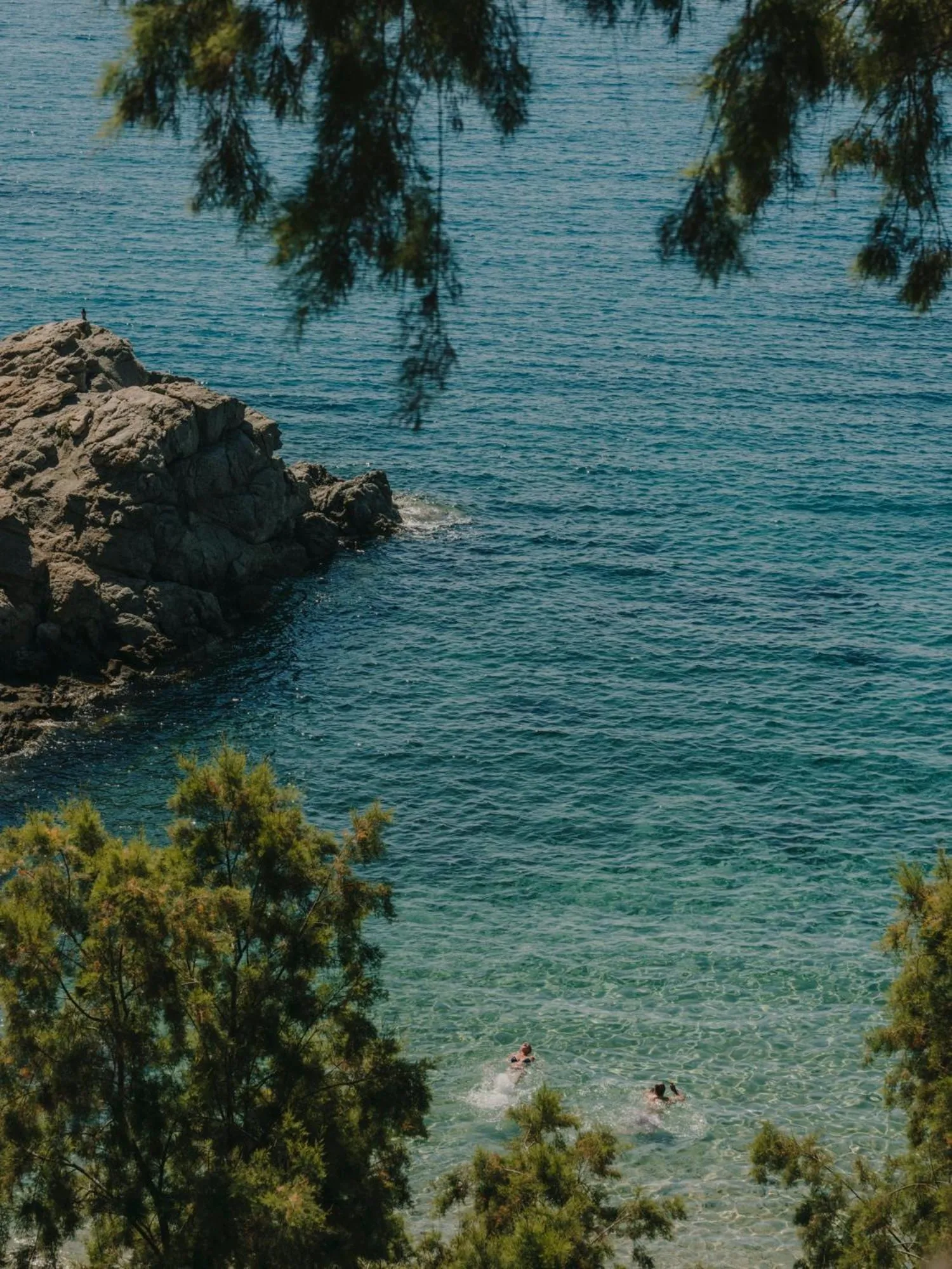 Day in The Wild by Interni