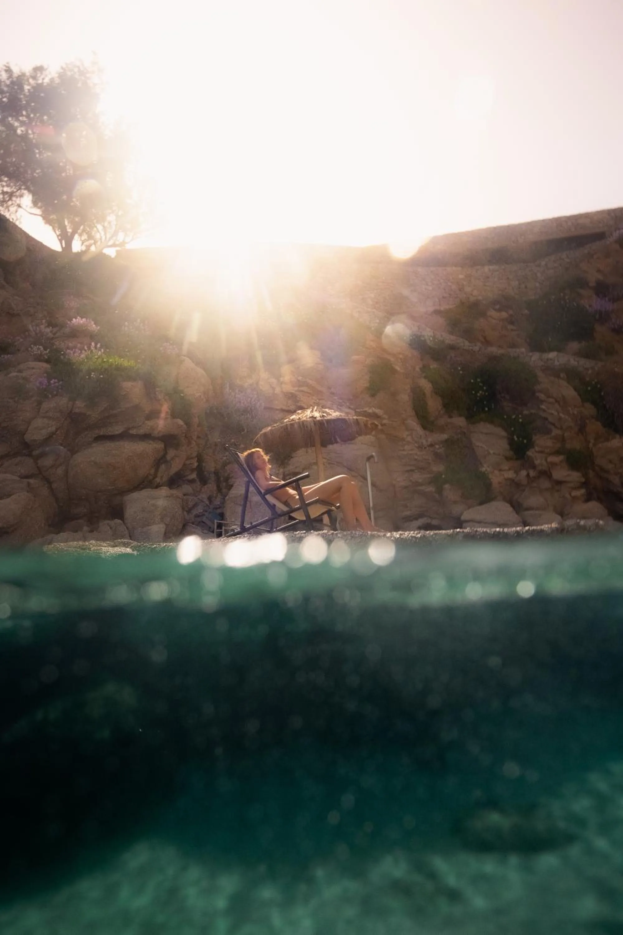 Day in The Wild by Interni