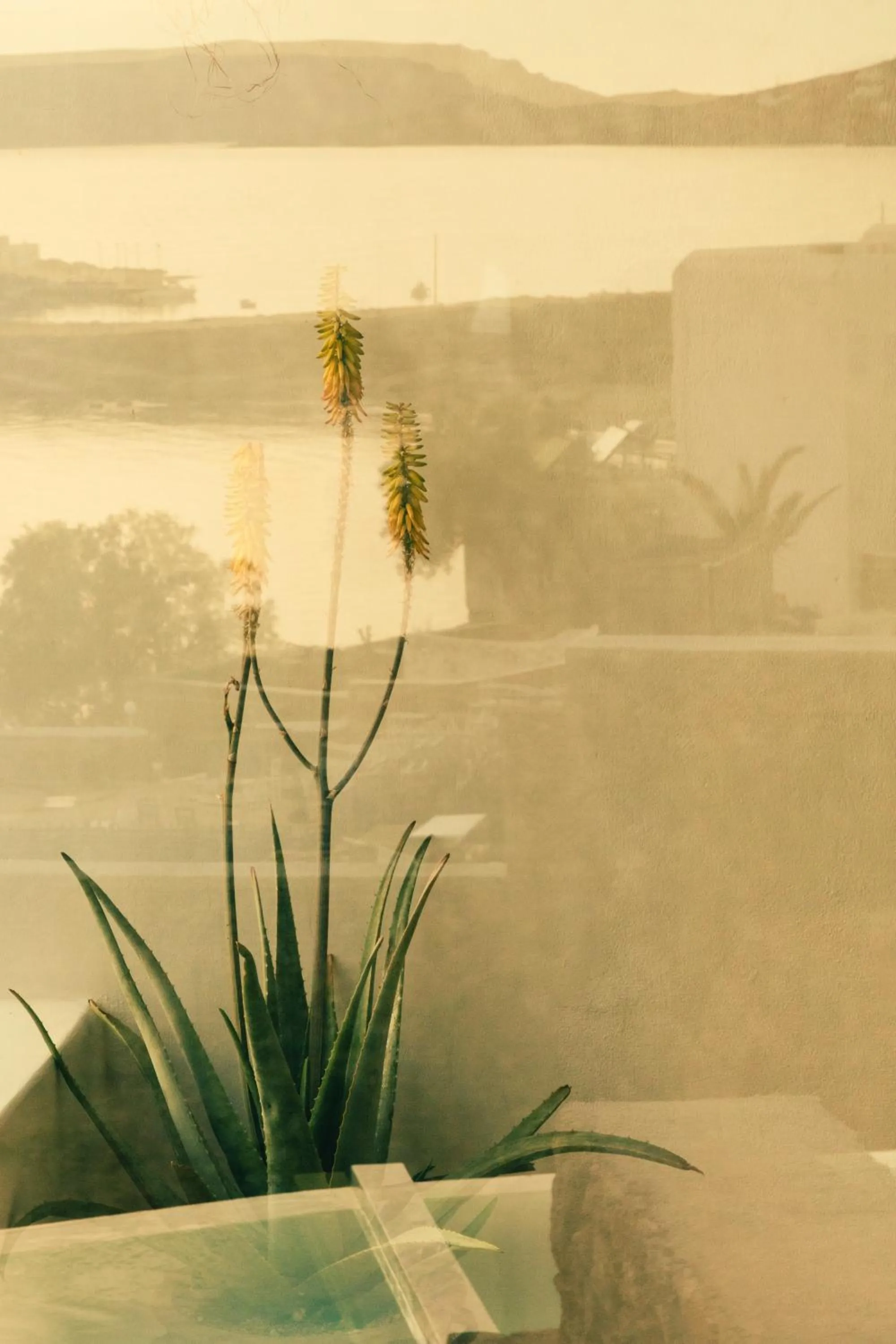 Day in The Wild by Interni