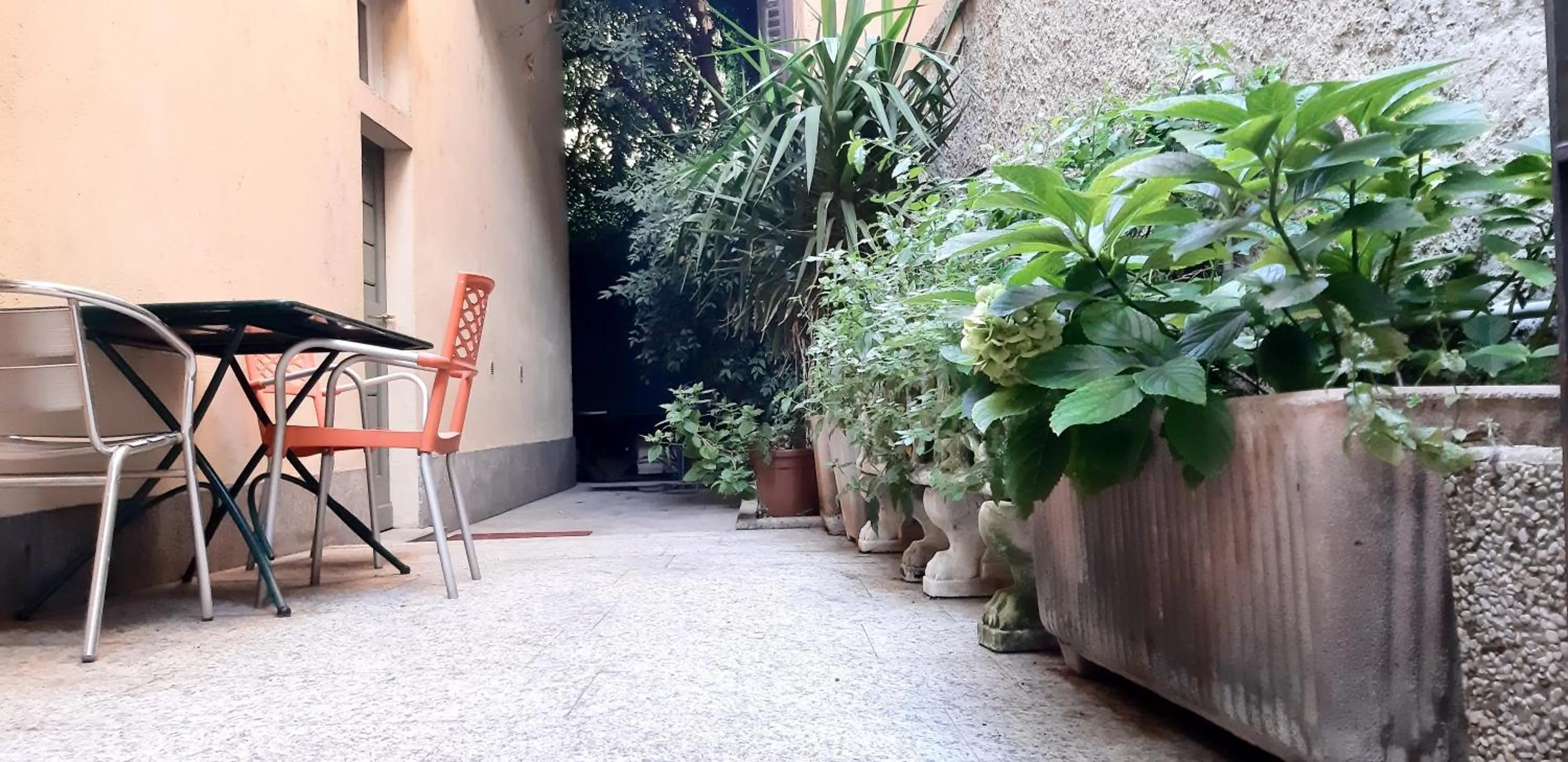 Garden in Hotel Marco's