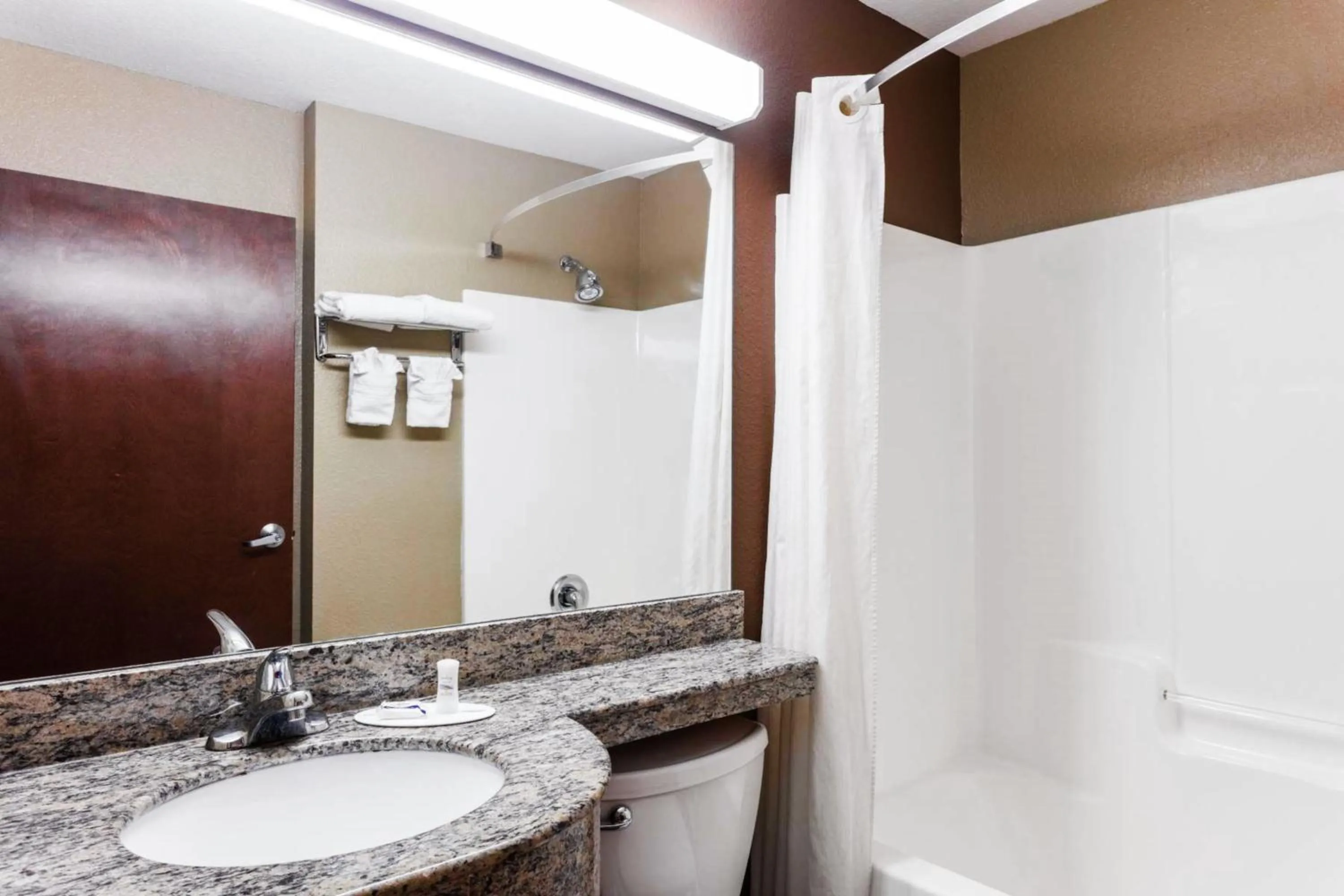 Toilet in Microtel Inn & Suites by Wyndham Macon