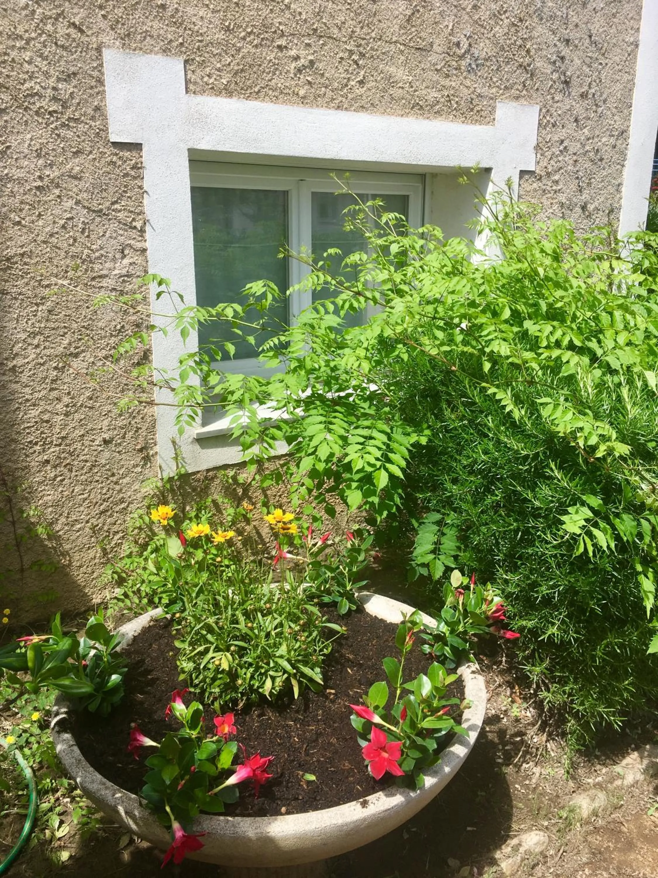 Garden in L'Isula Rossa