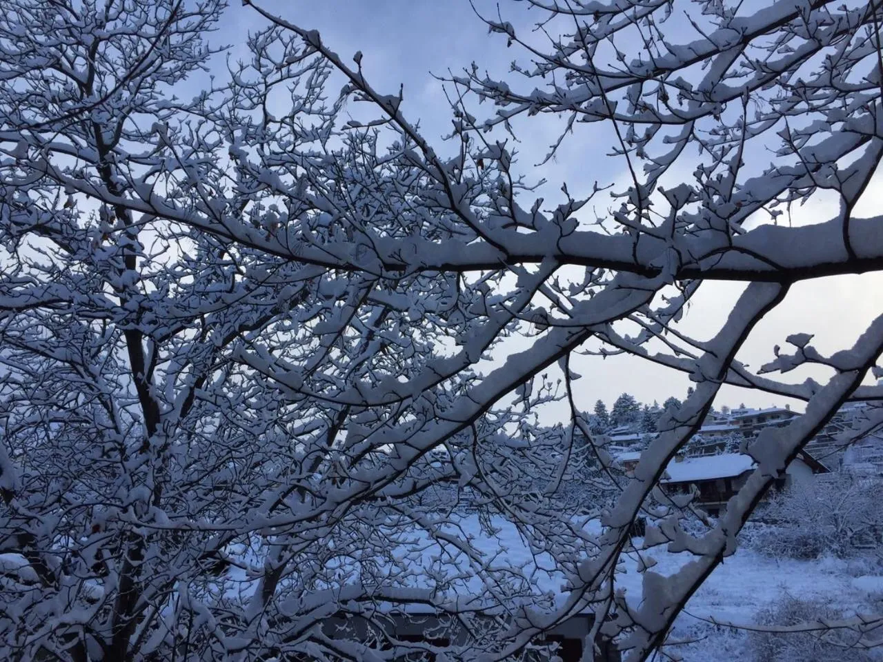 Garden in Hotel Milleluci