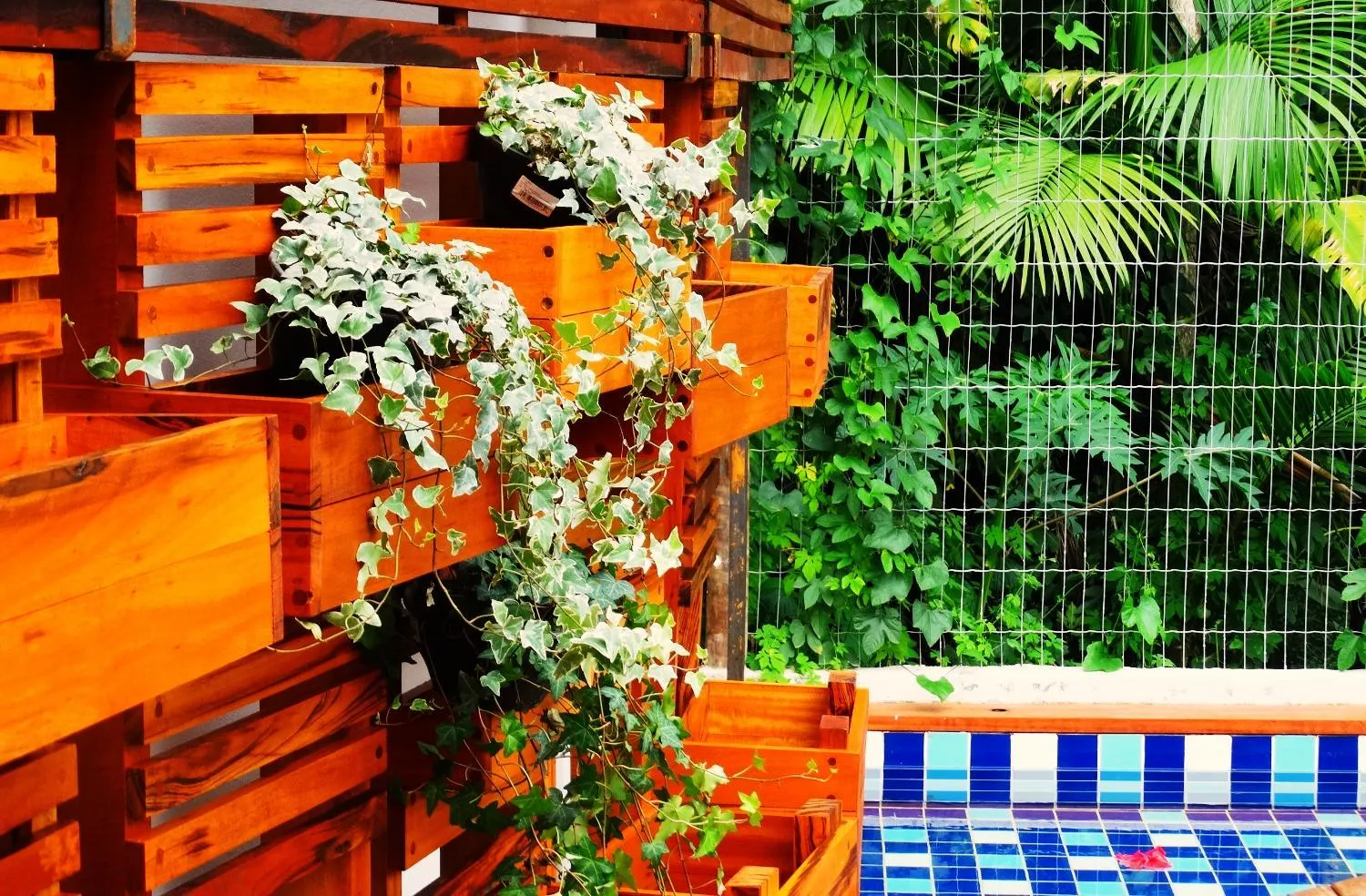 Garden in Recanto das Andorinhas Studios