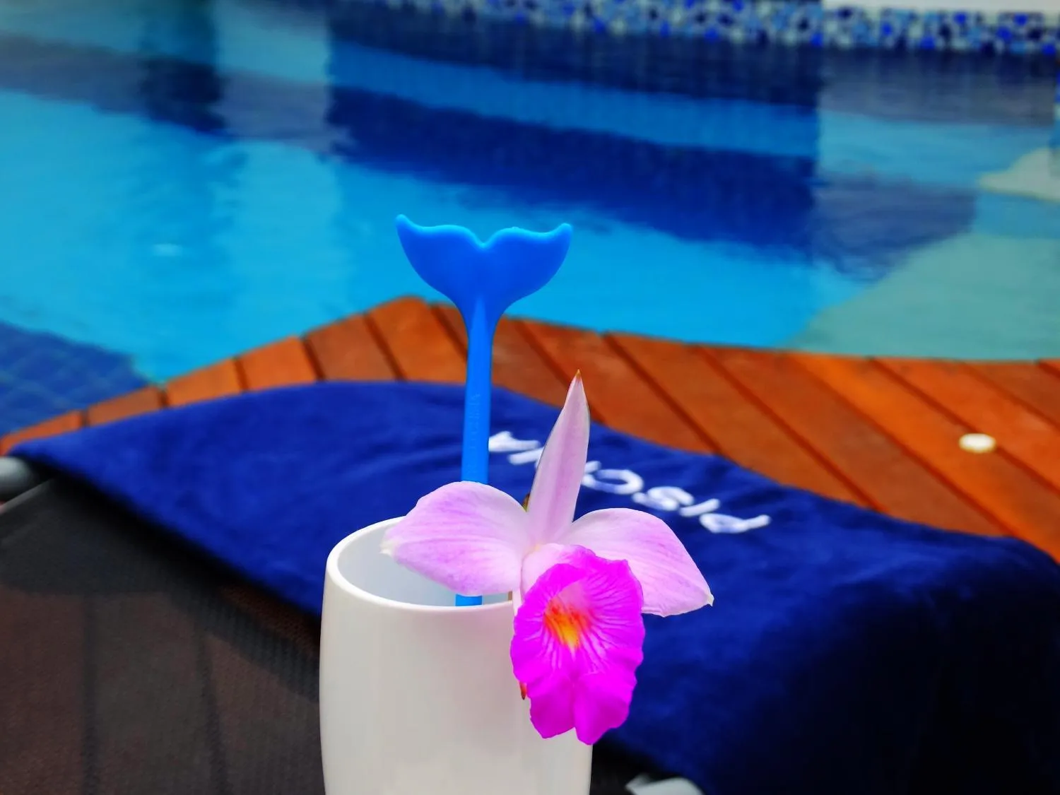 Swimming pool in Recanto das Andorinhas Studios