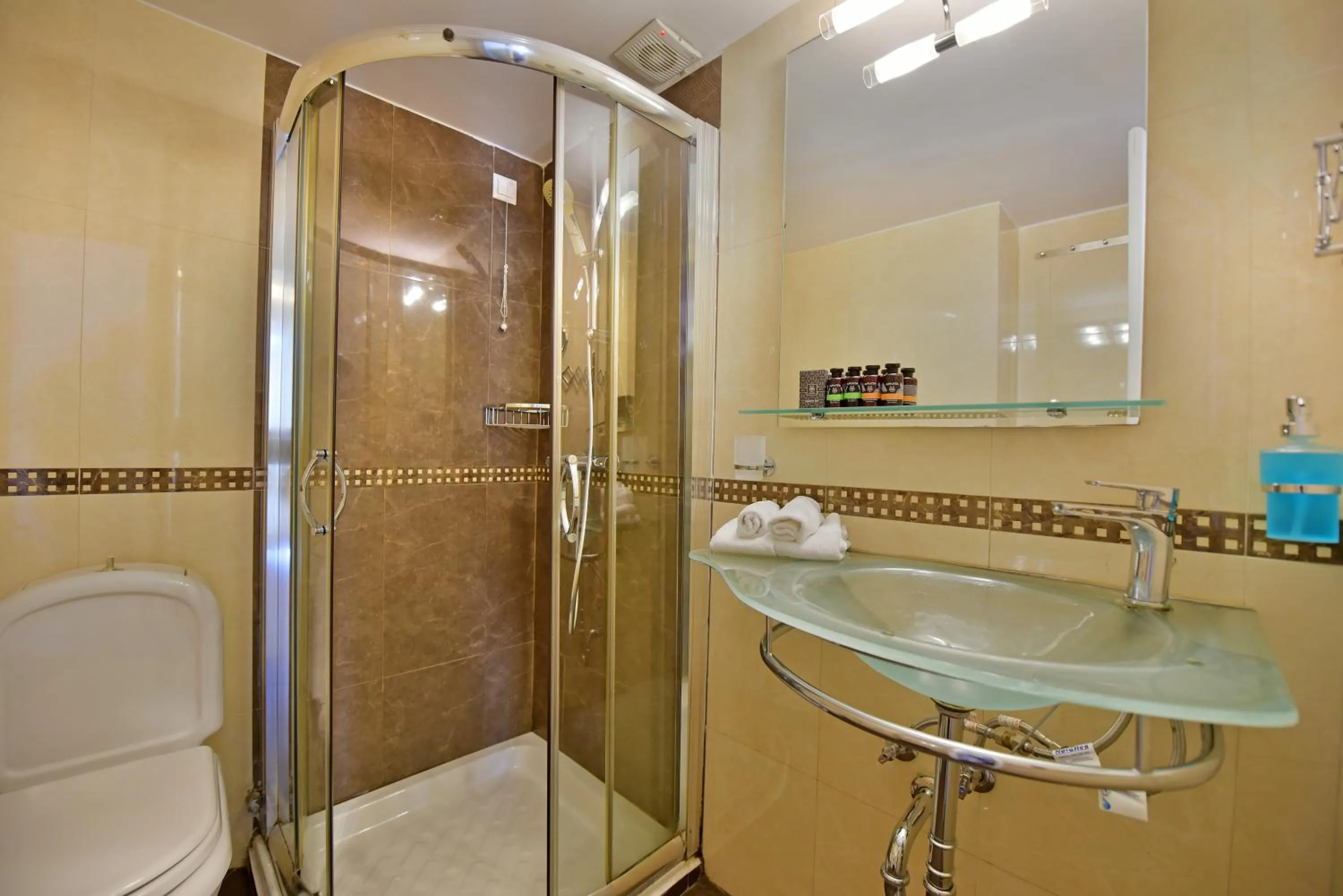 Shower in Hotel Sophia