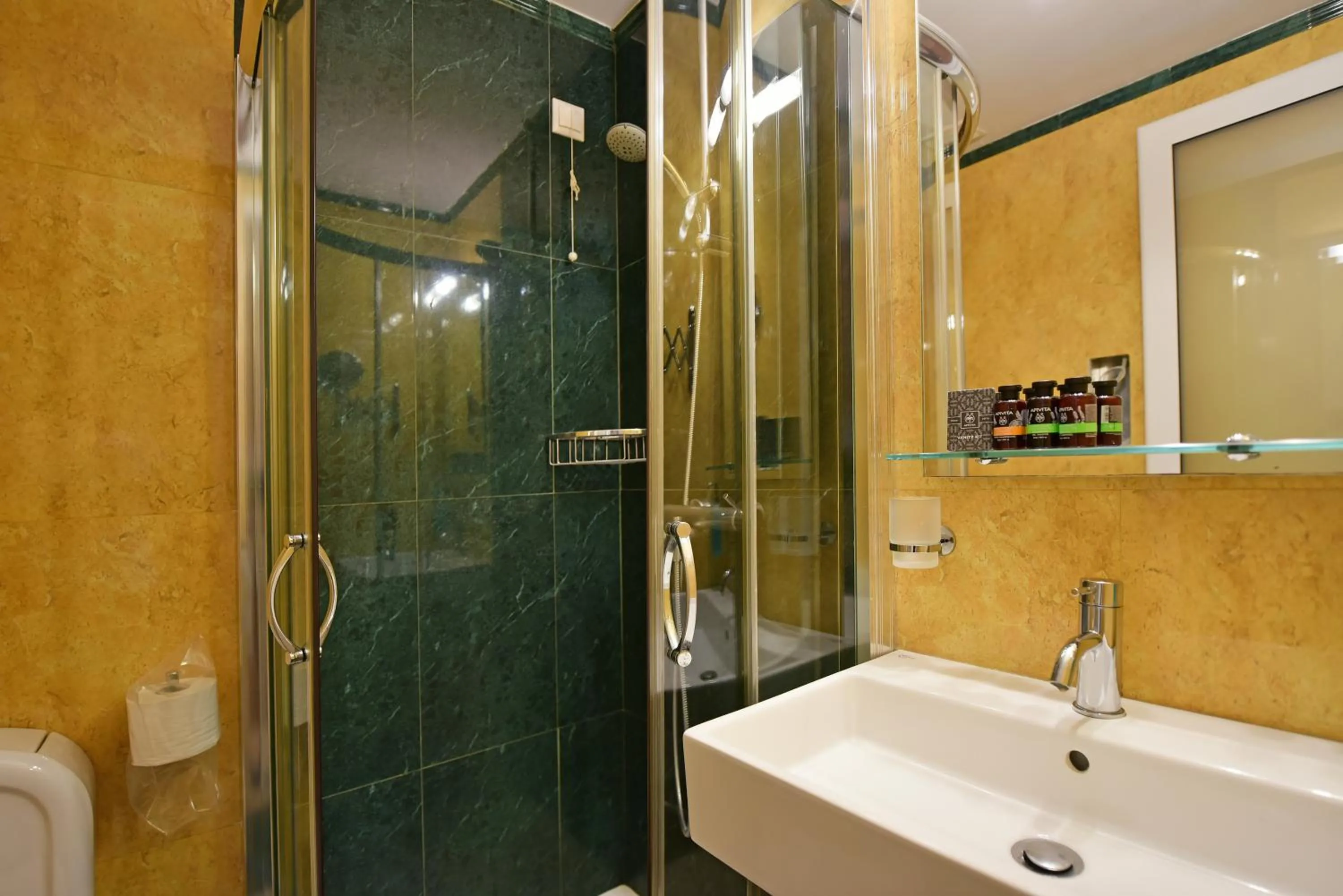 Shower in Hotel Sophia