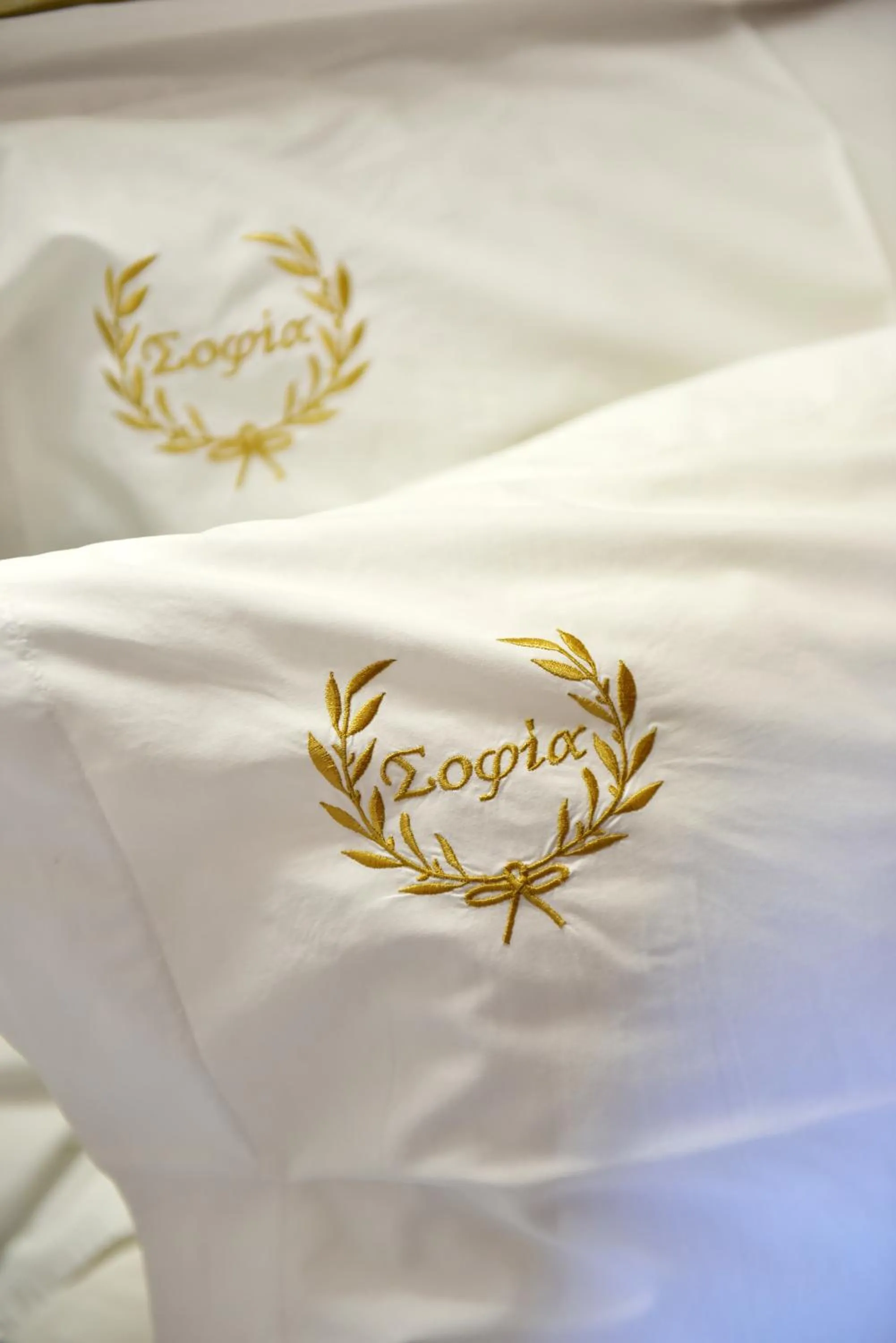 Property logo or sign in Hotel Sophia