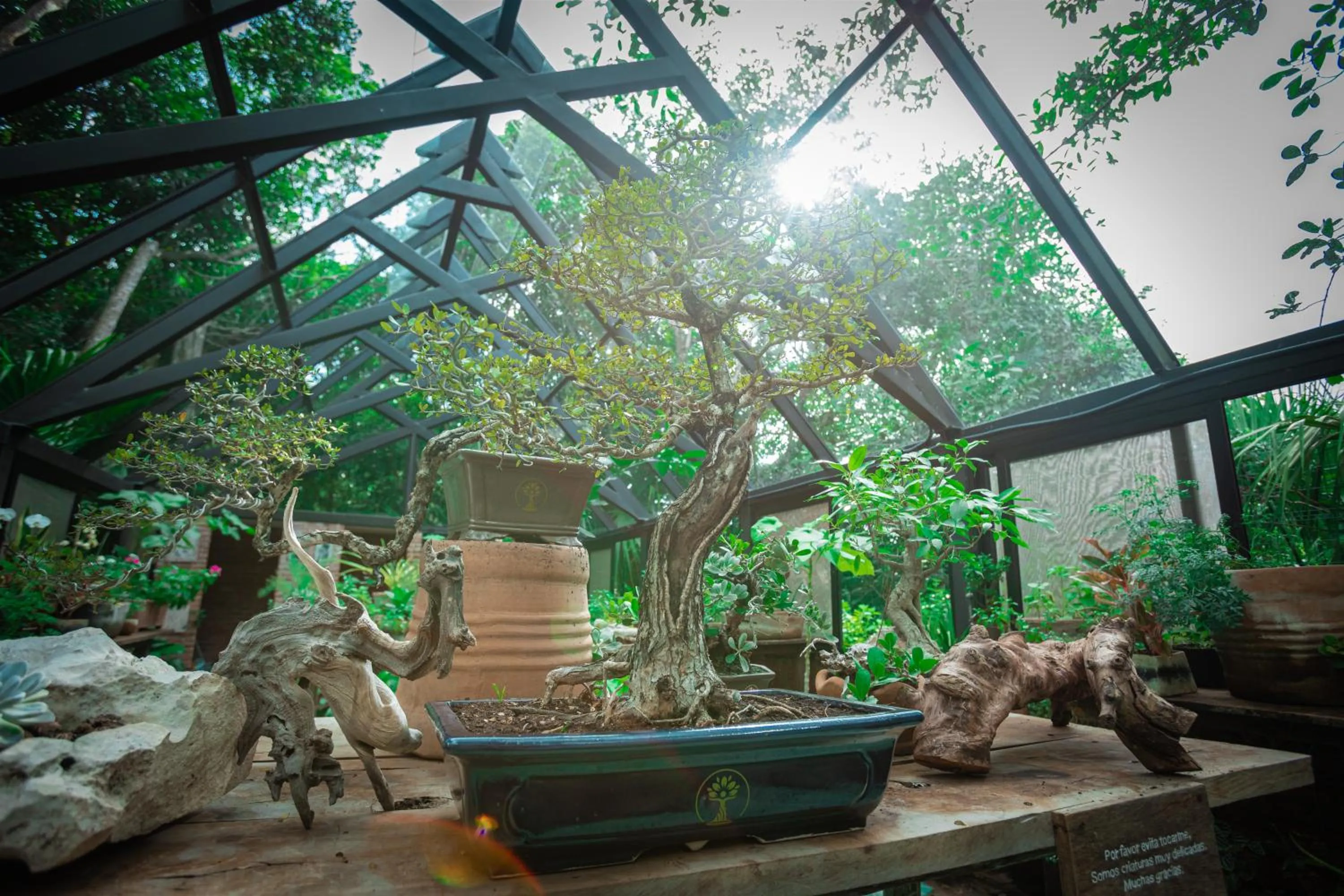 Garden in Palmaïa The House of AïA All Inclusive Wellness Resort