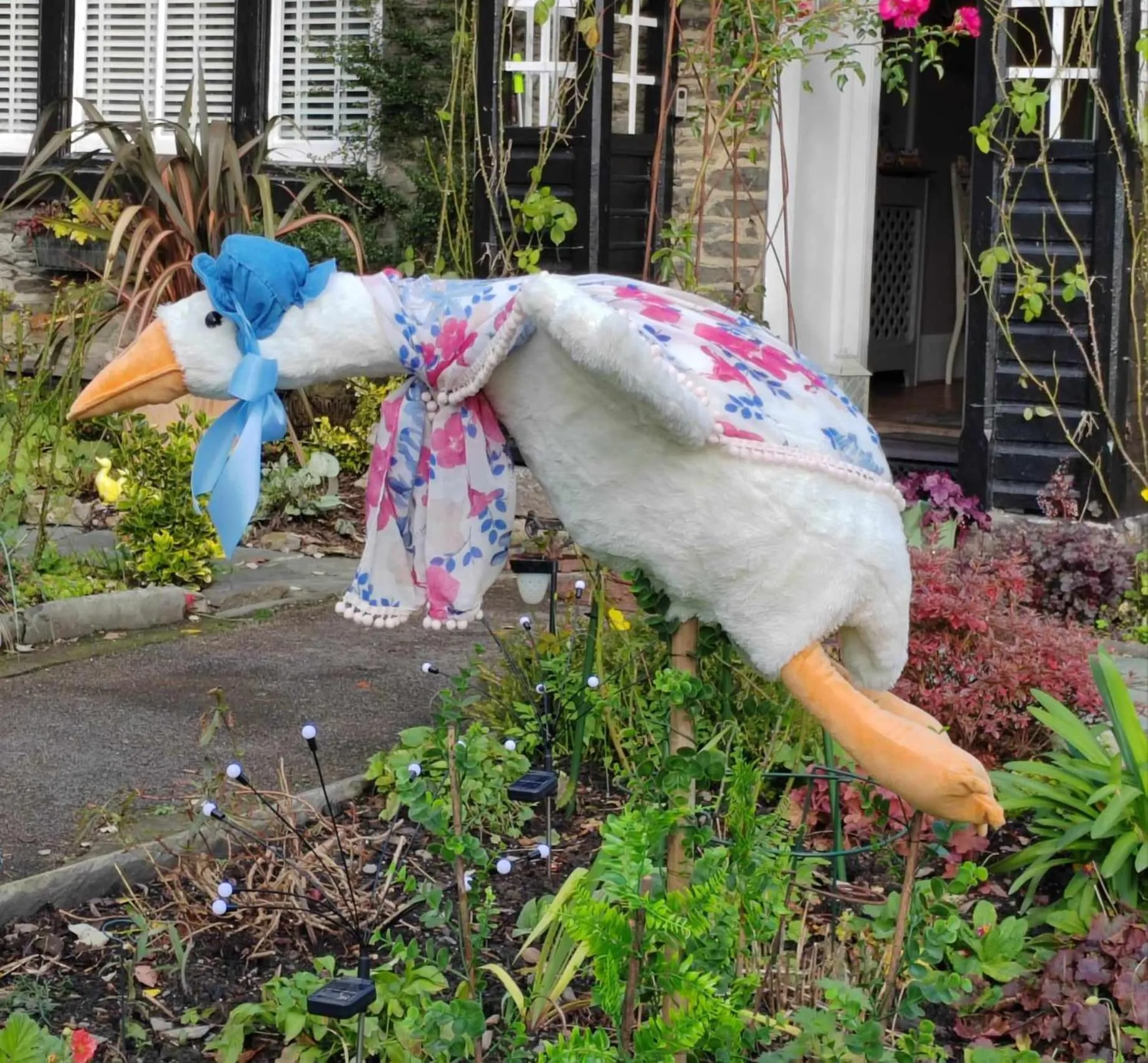 Other in Puddle Duck Lodge – Adults Only