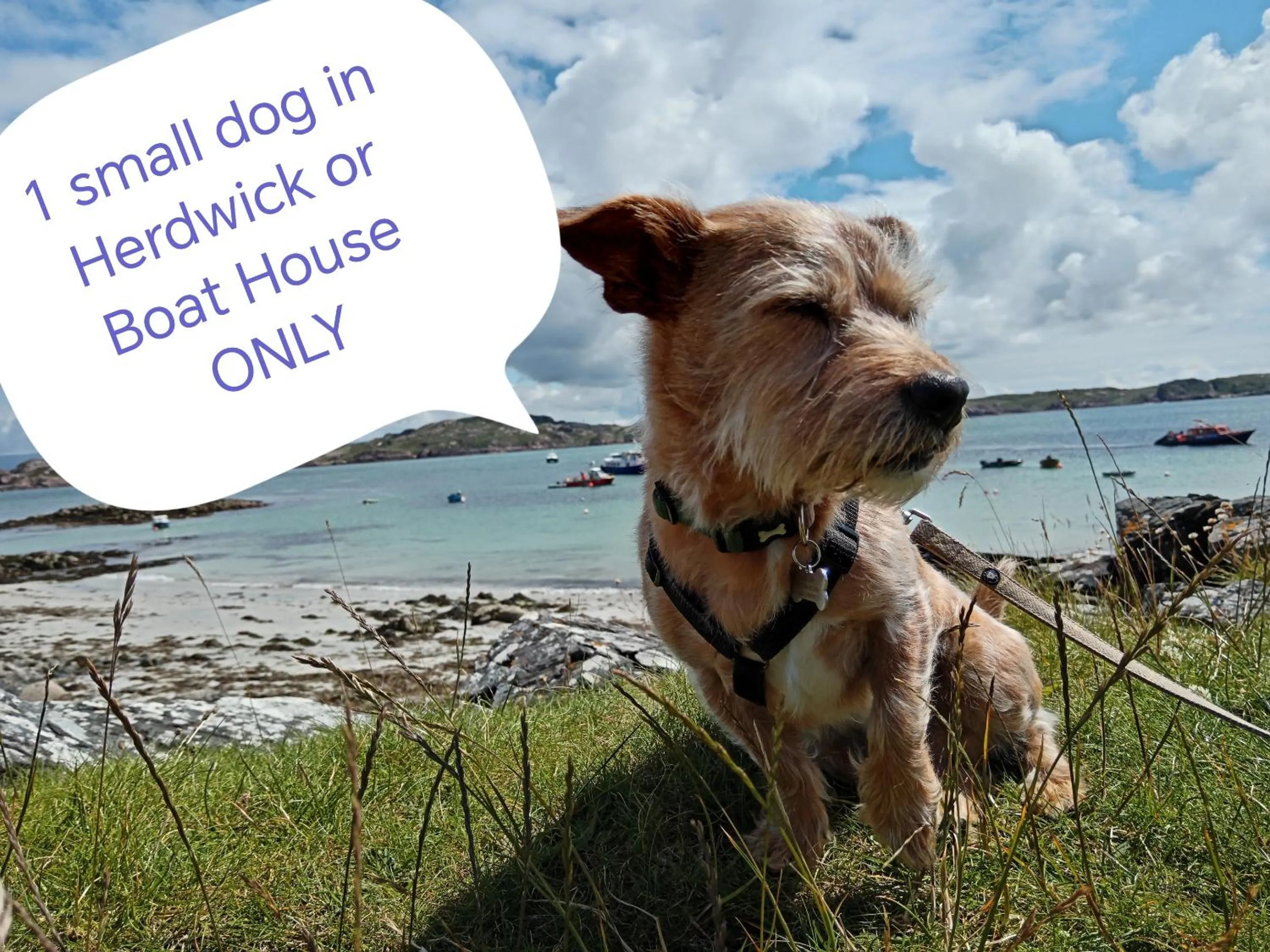 Lobby or reception in Puddle Duck Lodge – Adults Only