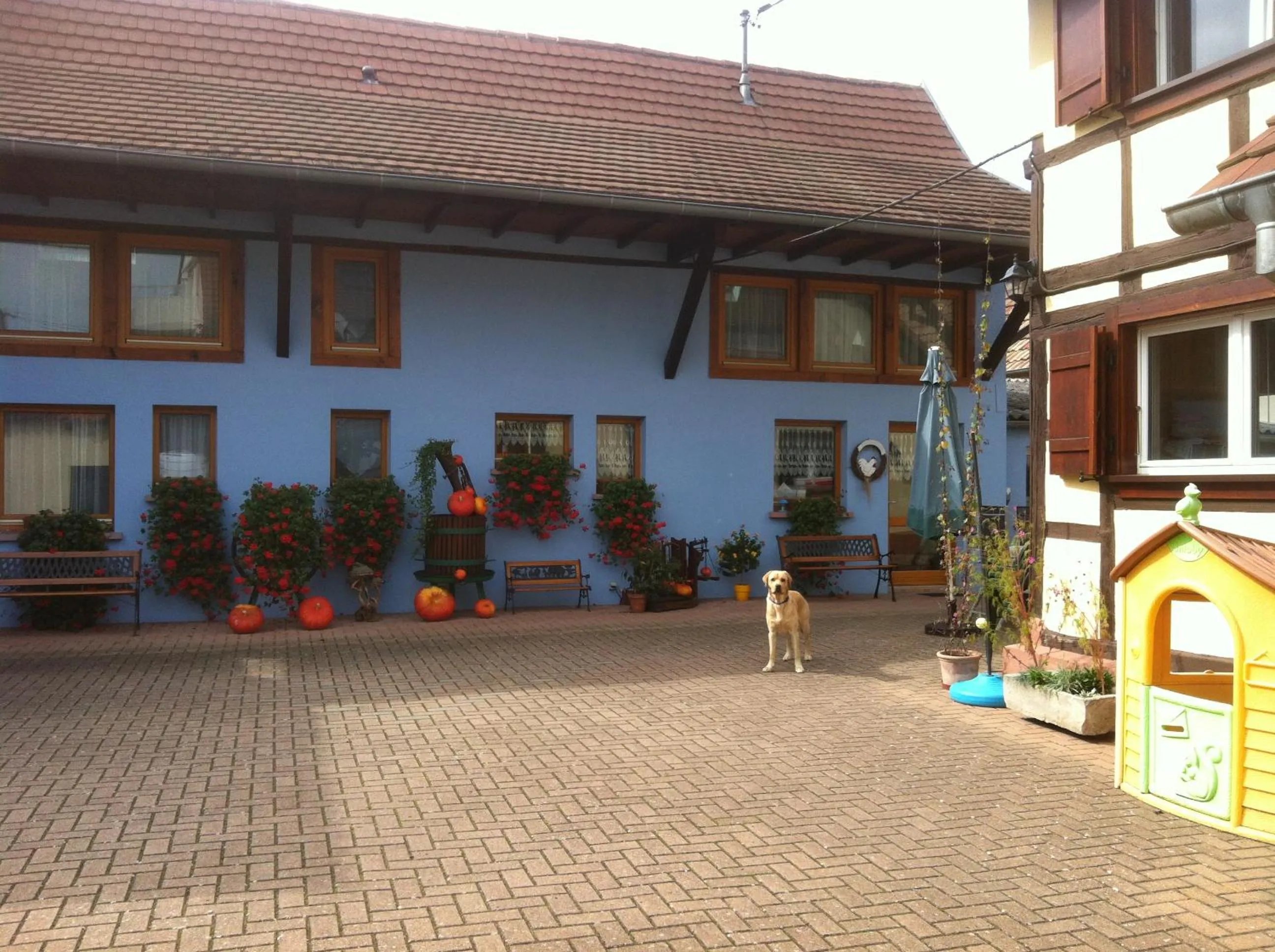 Mélodies d'Alsace