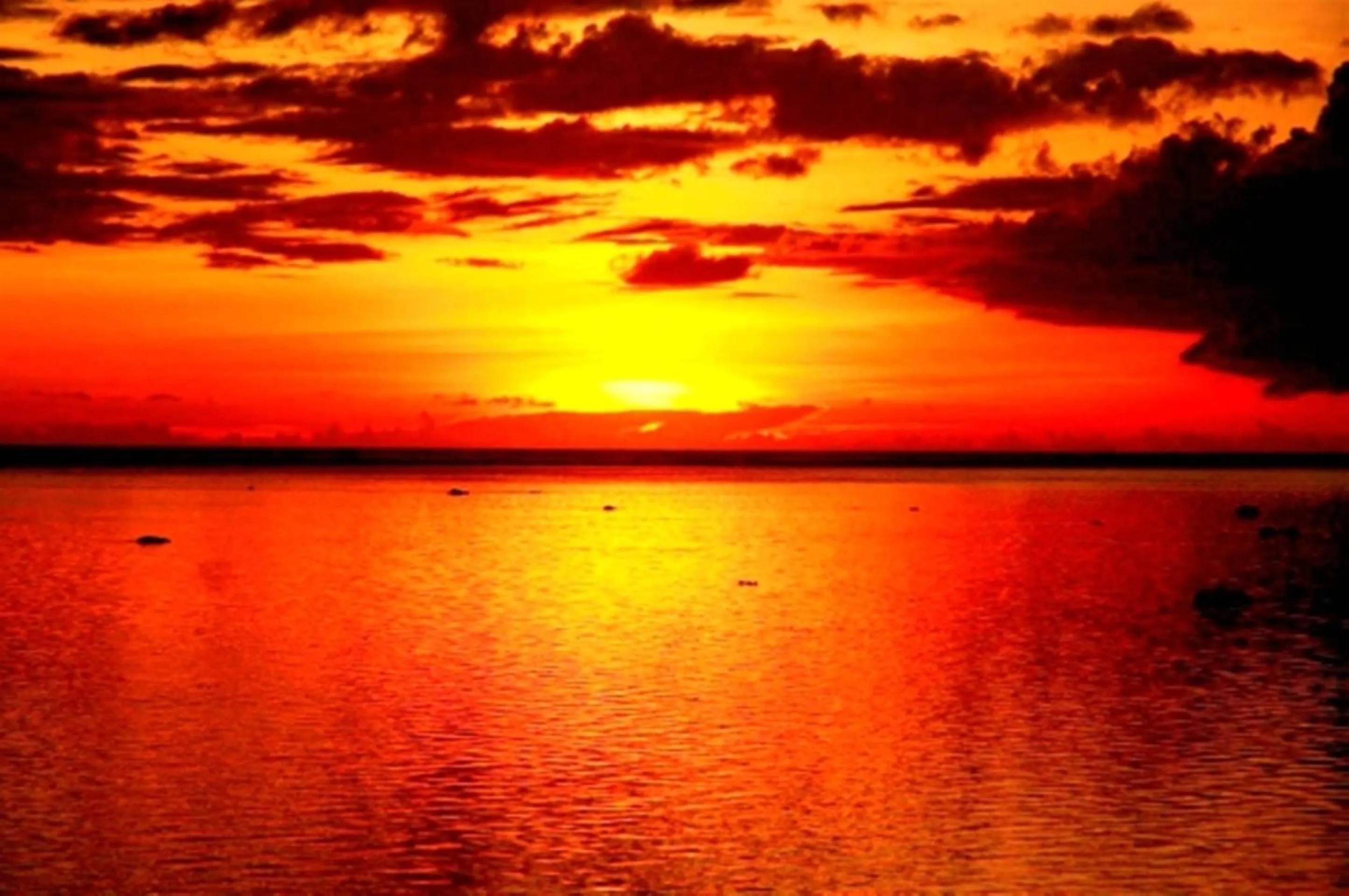 Natural landscape in Tambua Sands Beach Resort