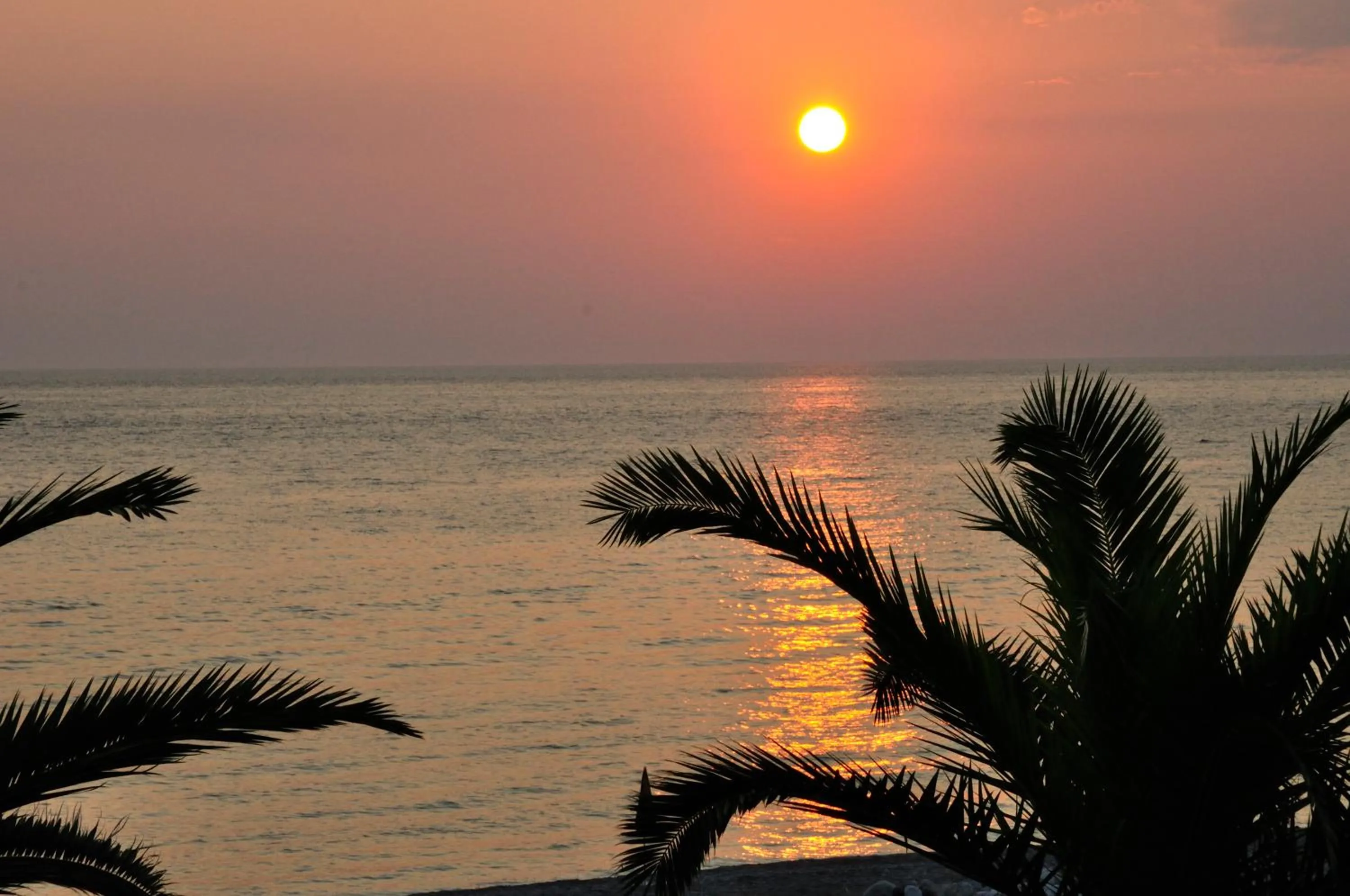 Natural landscape in Hotel Hagiati