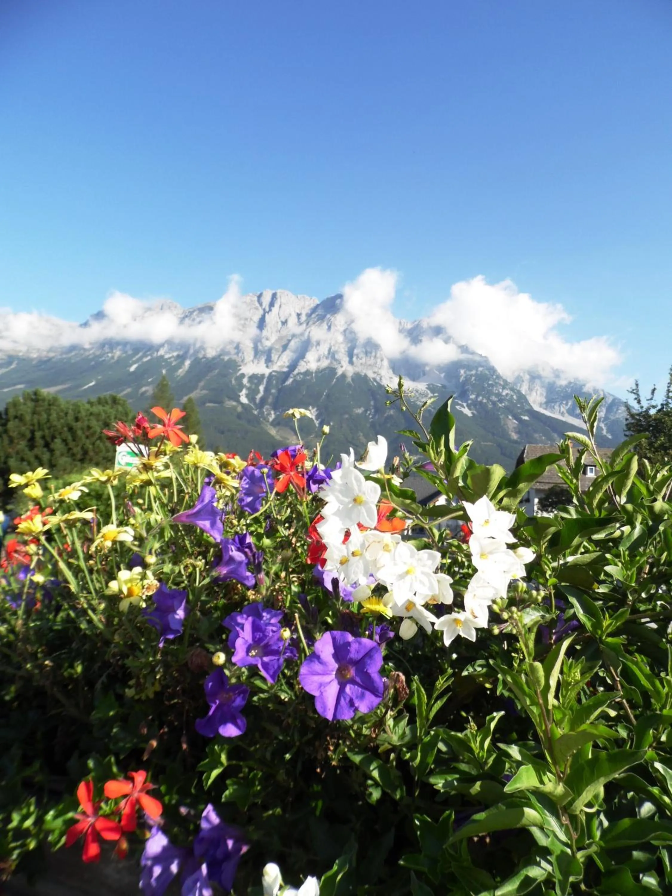 View (from property/room) in Pension Tilly