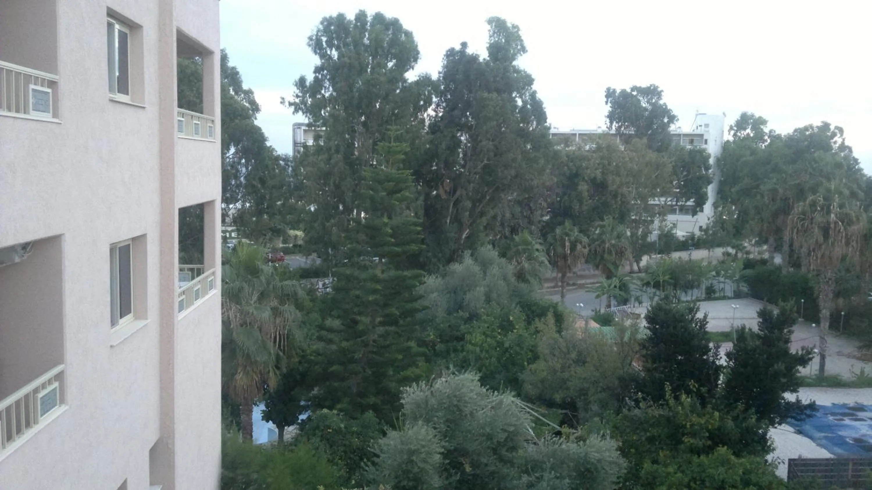 Garden view in Chrysanthos Boutique Apartments