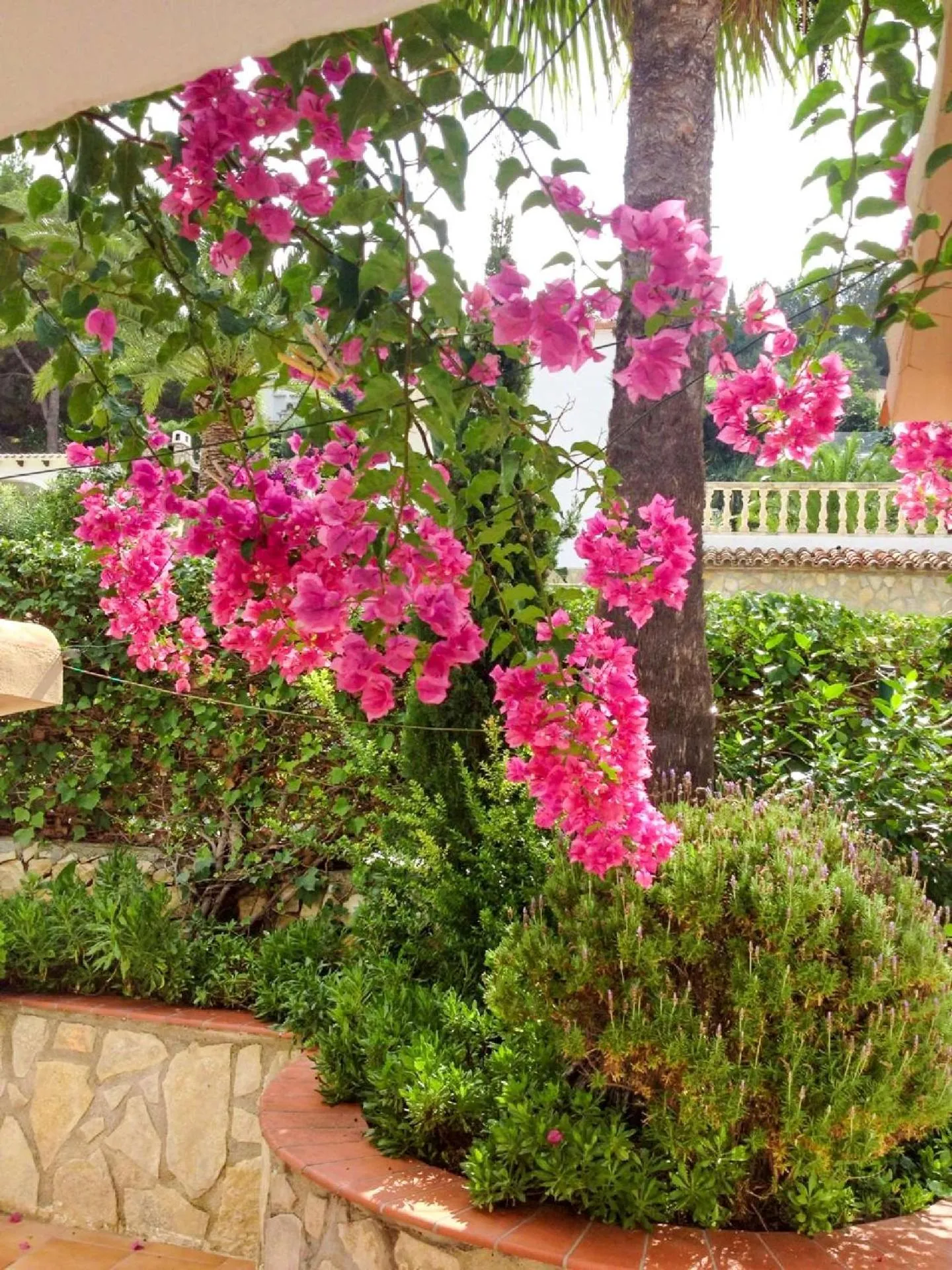 Garden in Dolce Casa n41