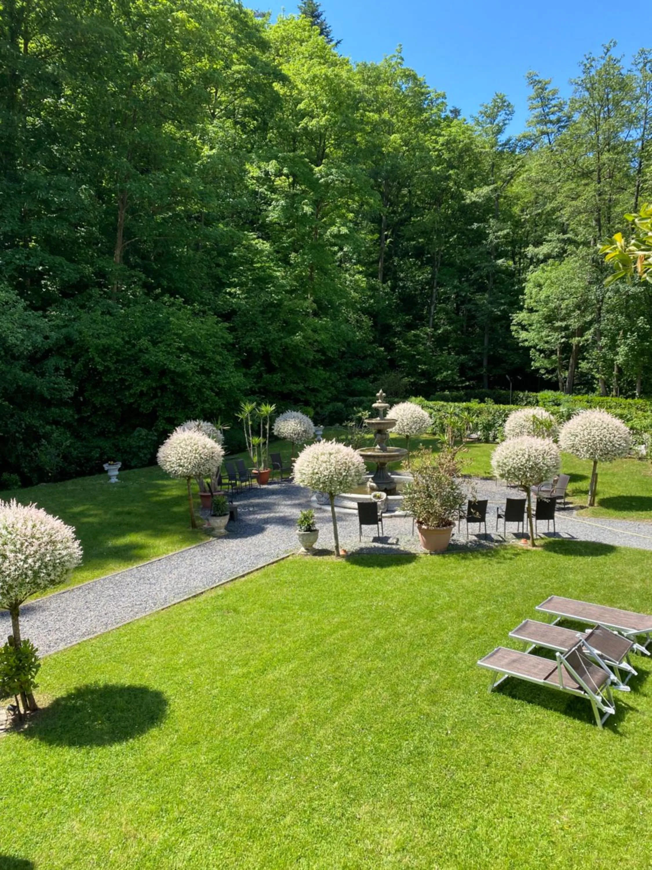 Garden in Hotel Scheid