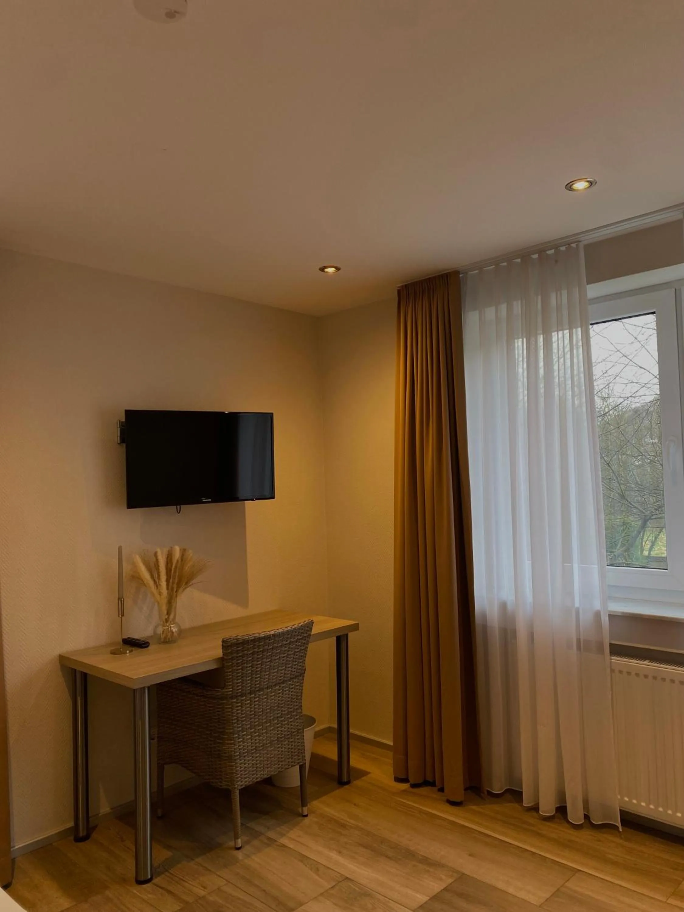 TV and multimedia in Hotel Scheid