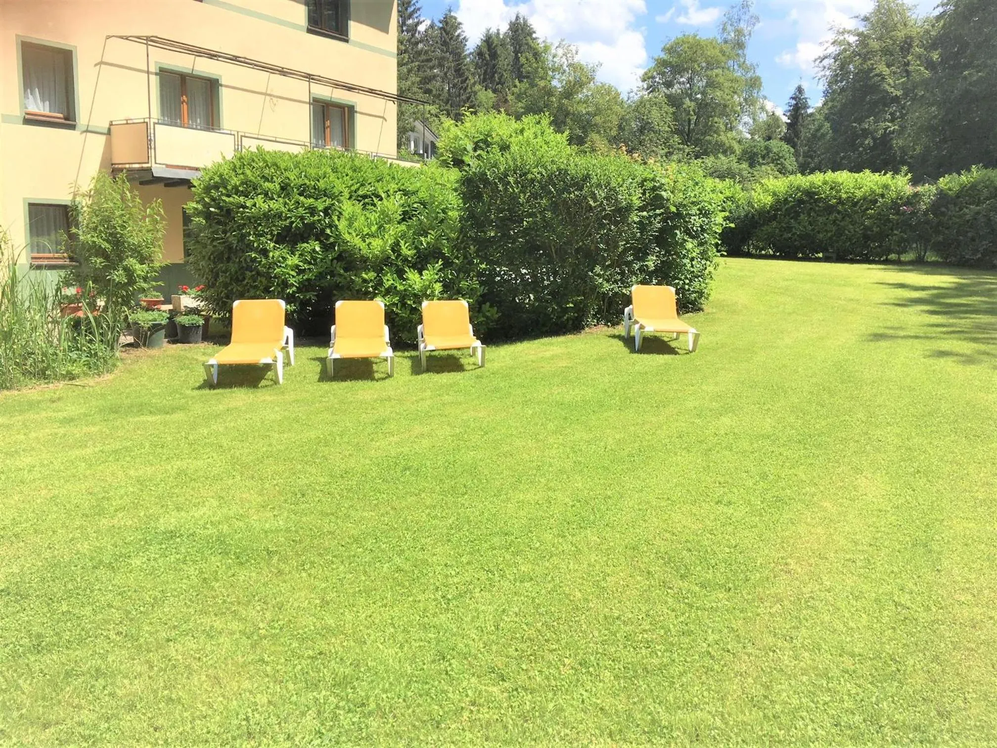 Garden in Hotel Scheid