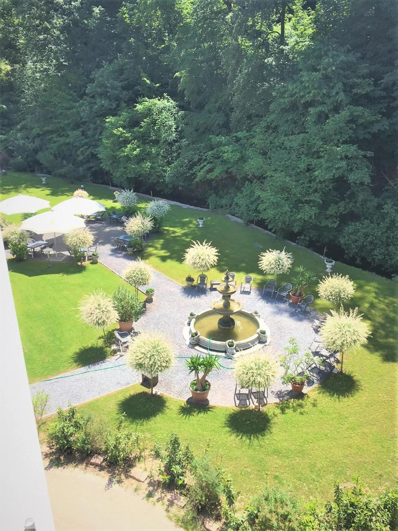 Garden in Hotel Scheid
