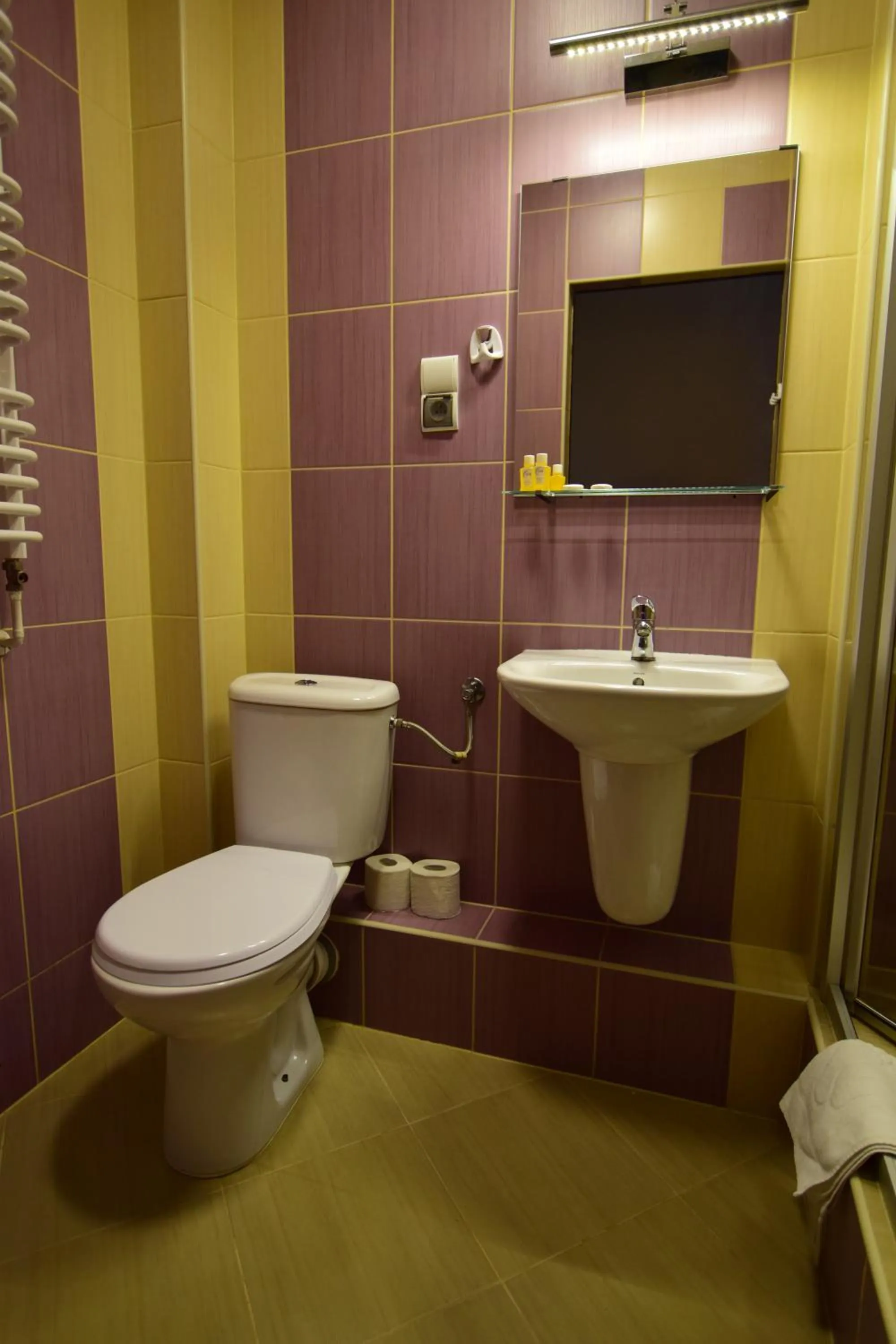 Toilet in Dafne Zakopane