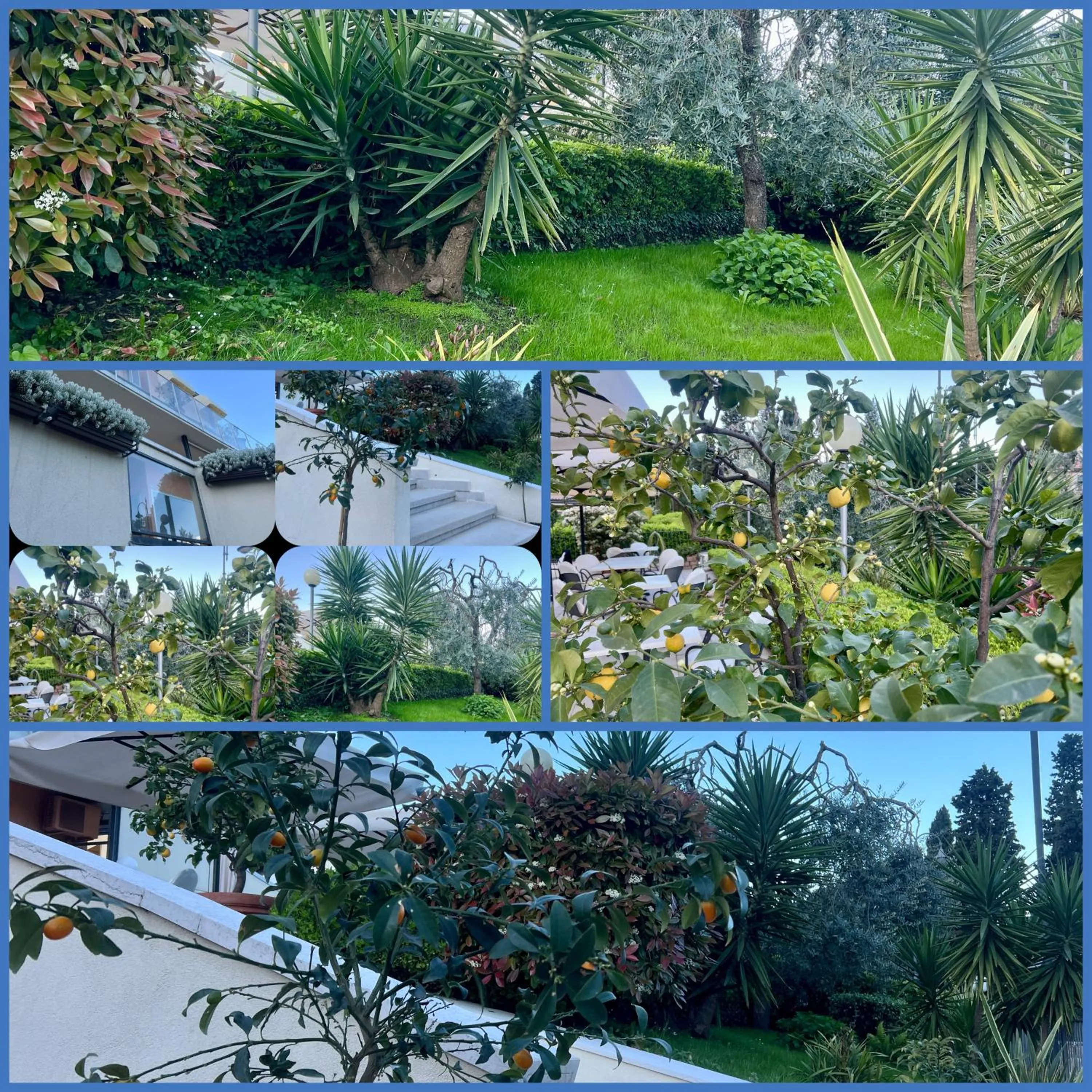 Garden view in Hotel Astoria