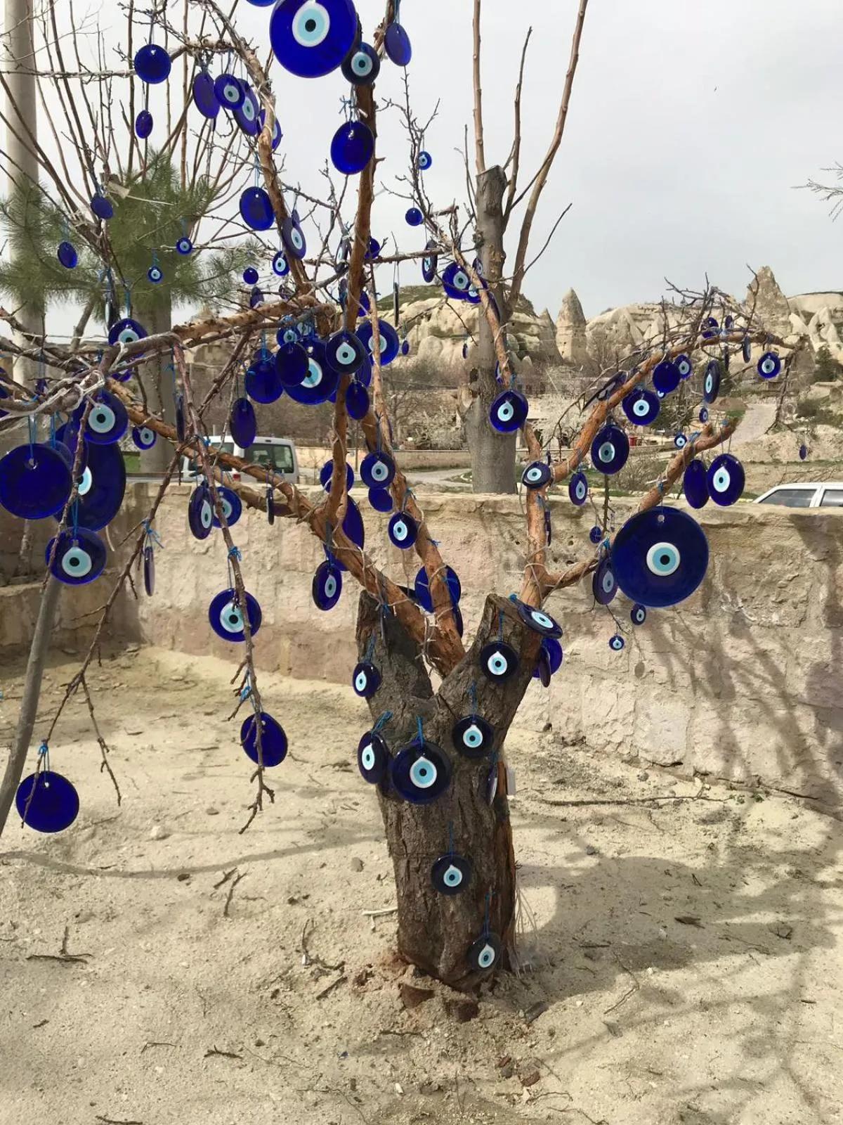 Animals in Hera Cave Suites