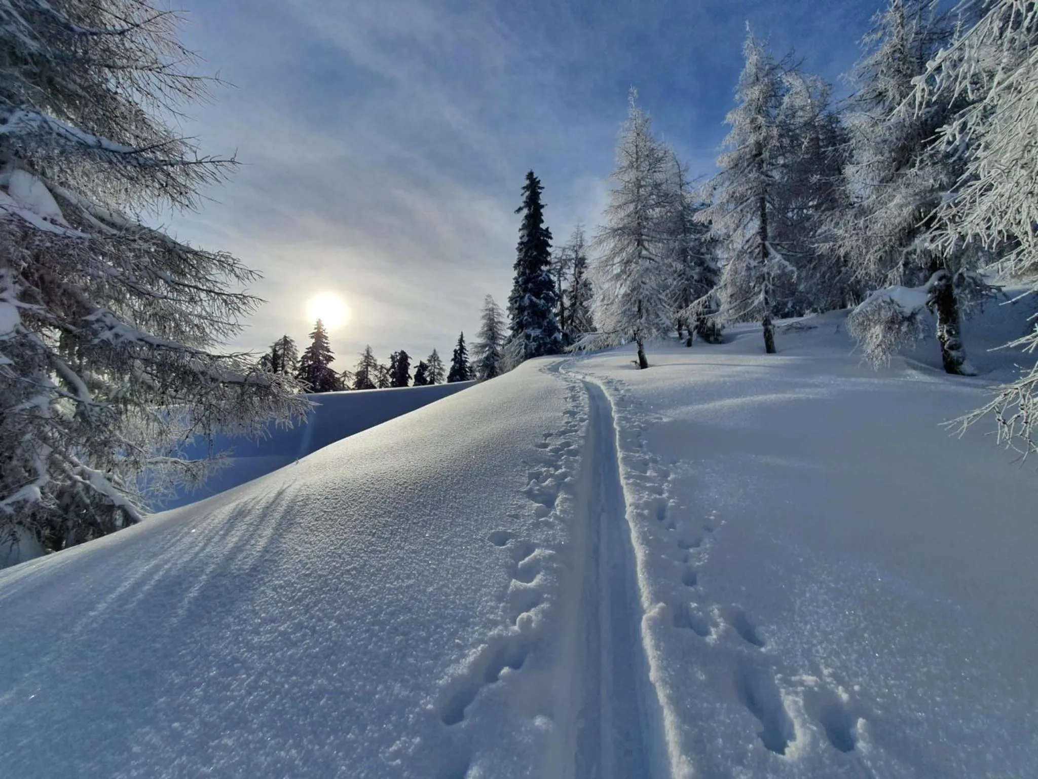 Natural landscape in Residence Mühlegg