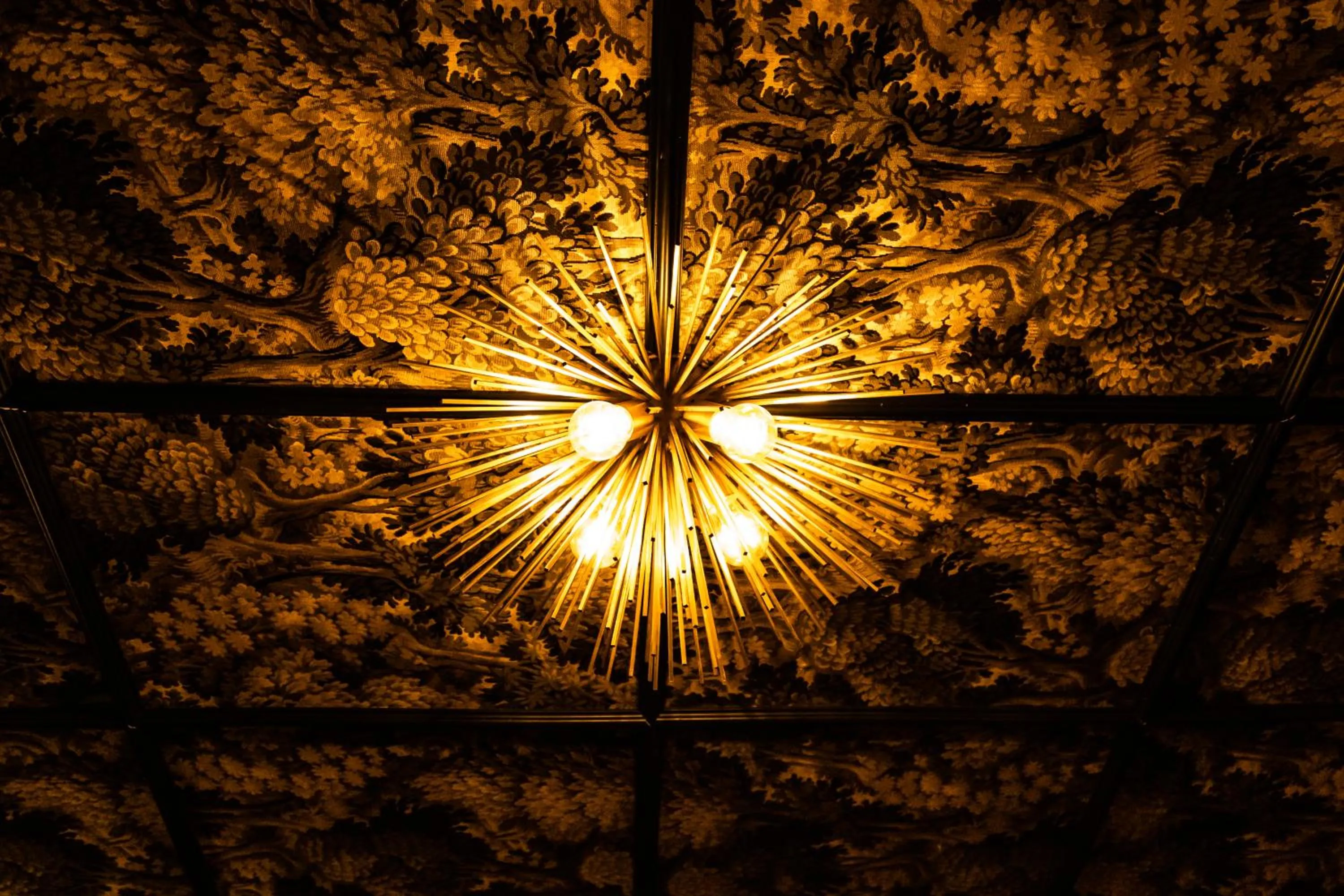 Property building in Hotel Born