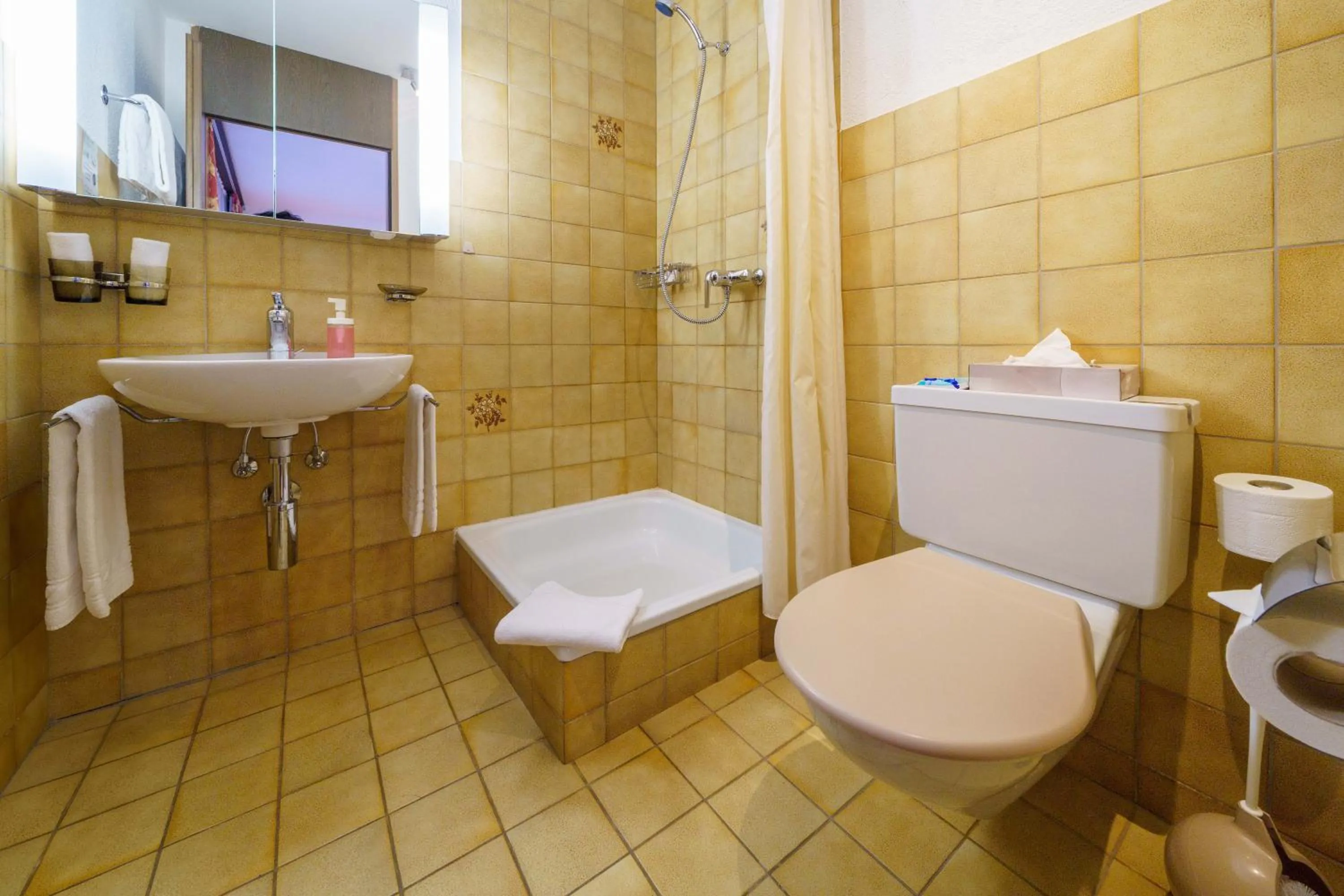 Shower in Hotel Toggenburg