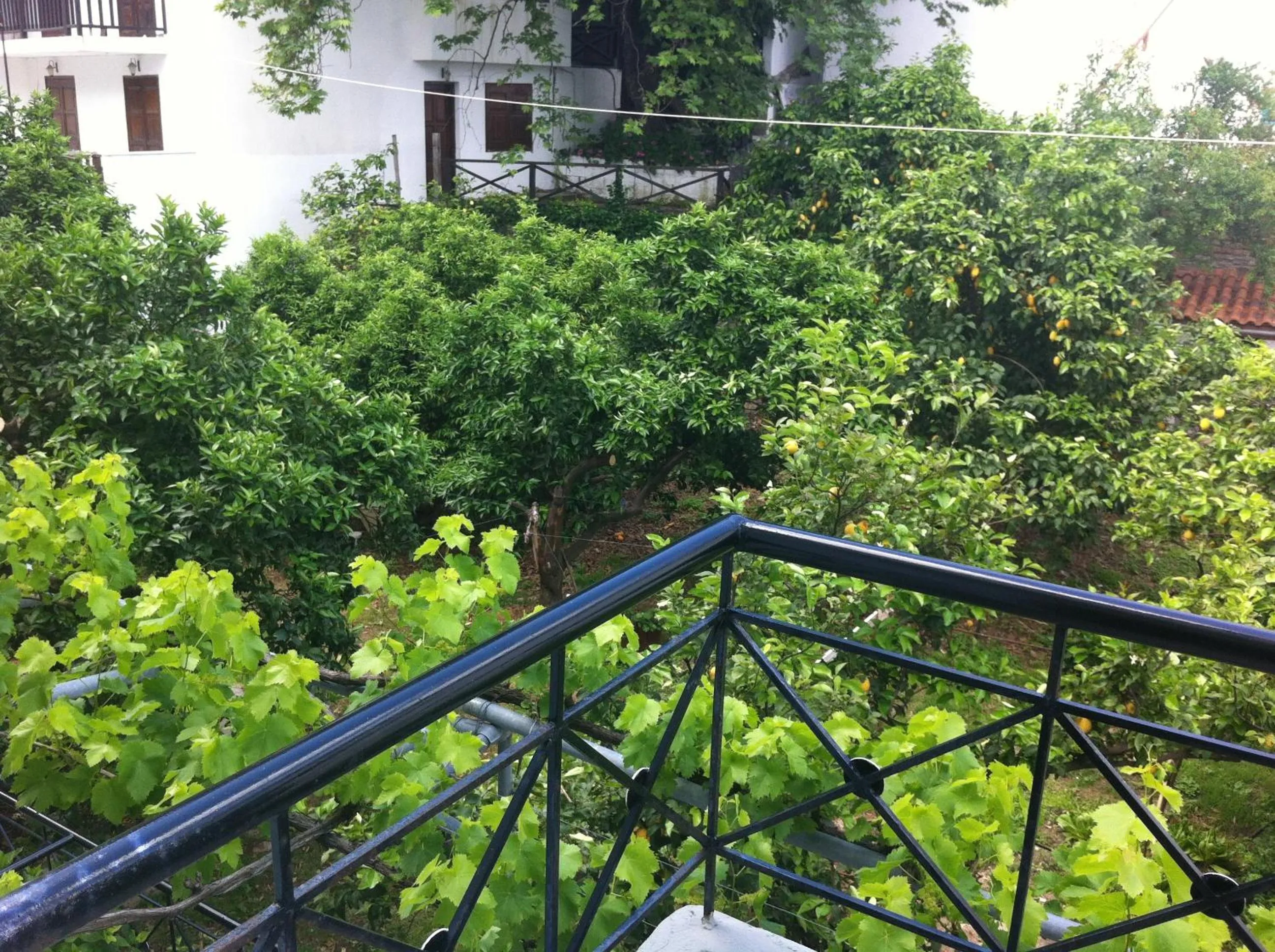 View (from property/room) in Hotel Eleana