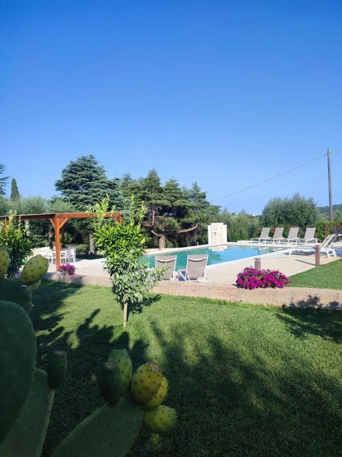 Swimming pool in Villa Ostuni
