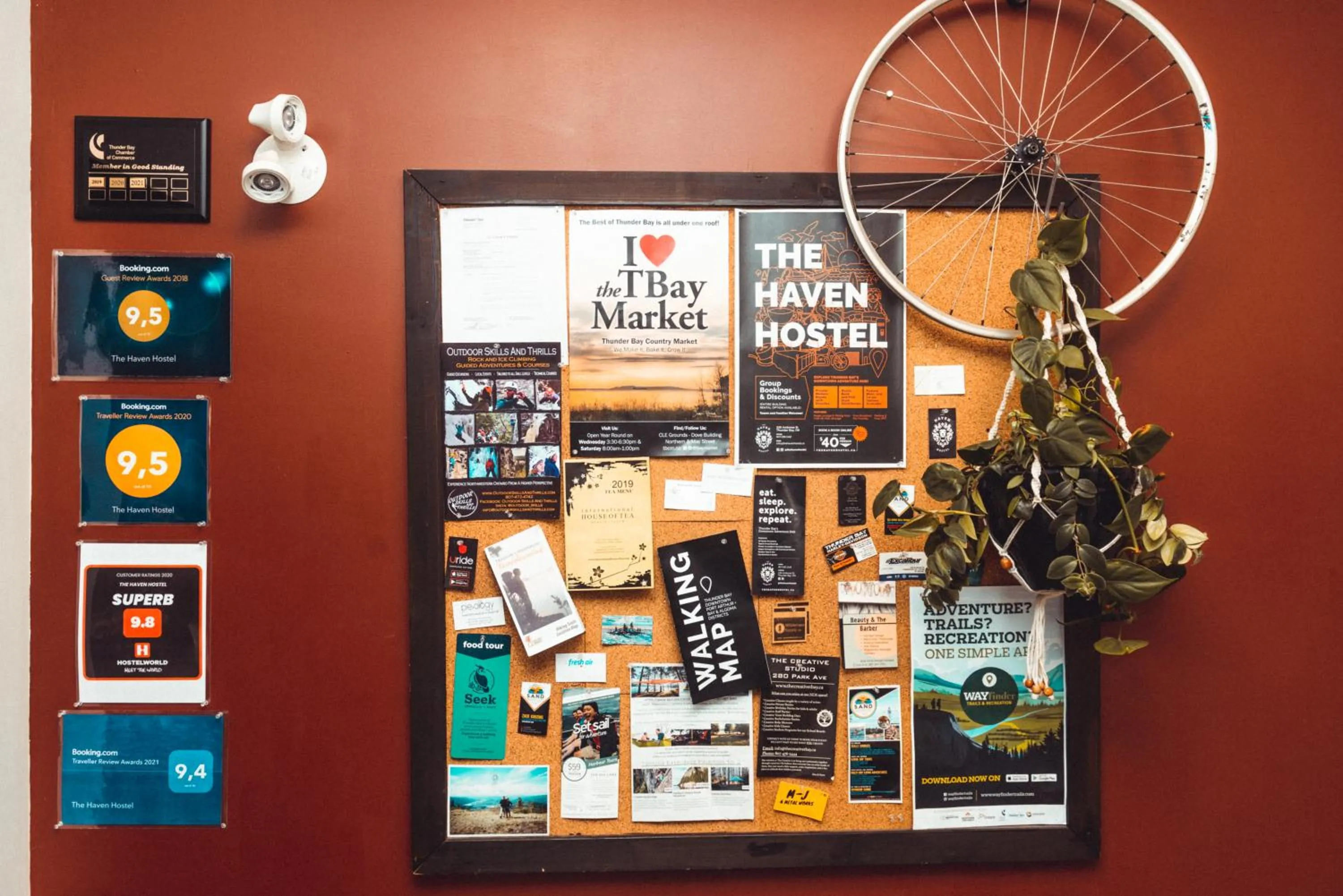 Activities in The Haven Hostel