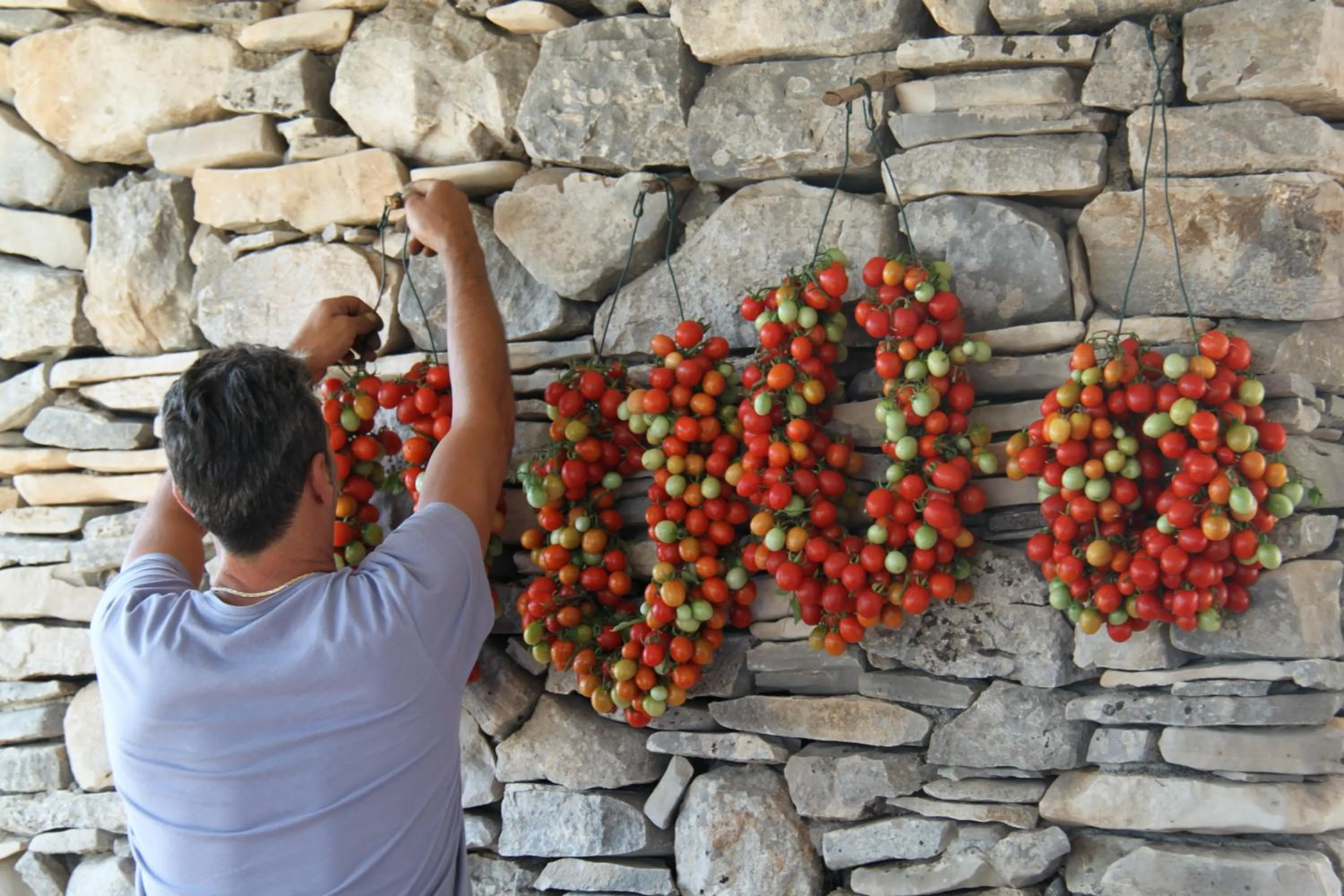 Restaurant/places to eat in Lama Di Luna Biomasseria