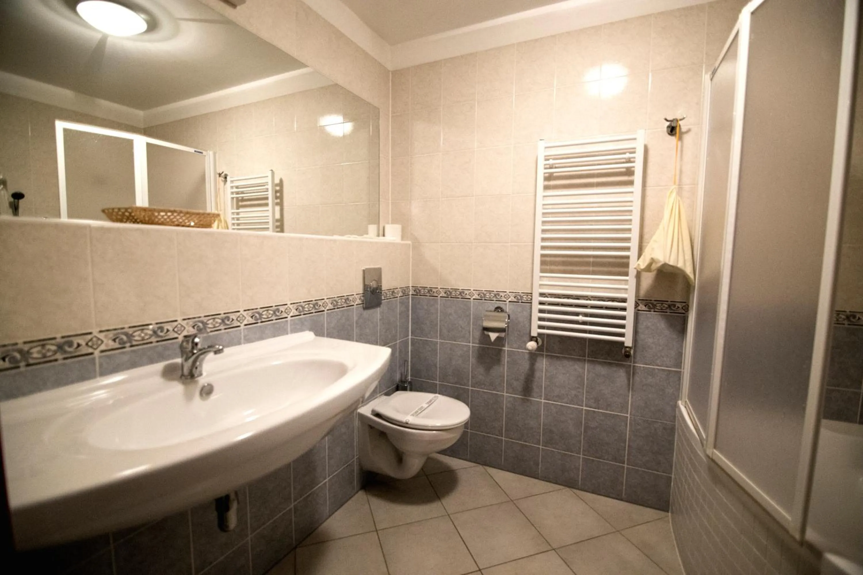 Shower in Wellness Hotel Babylon