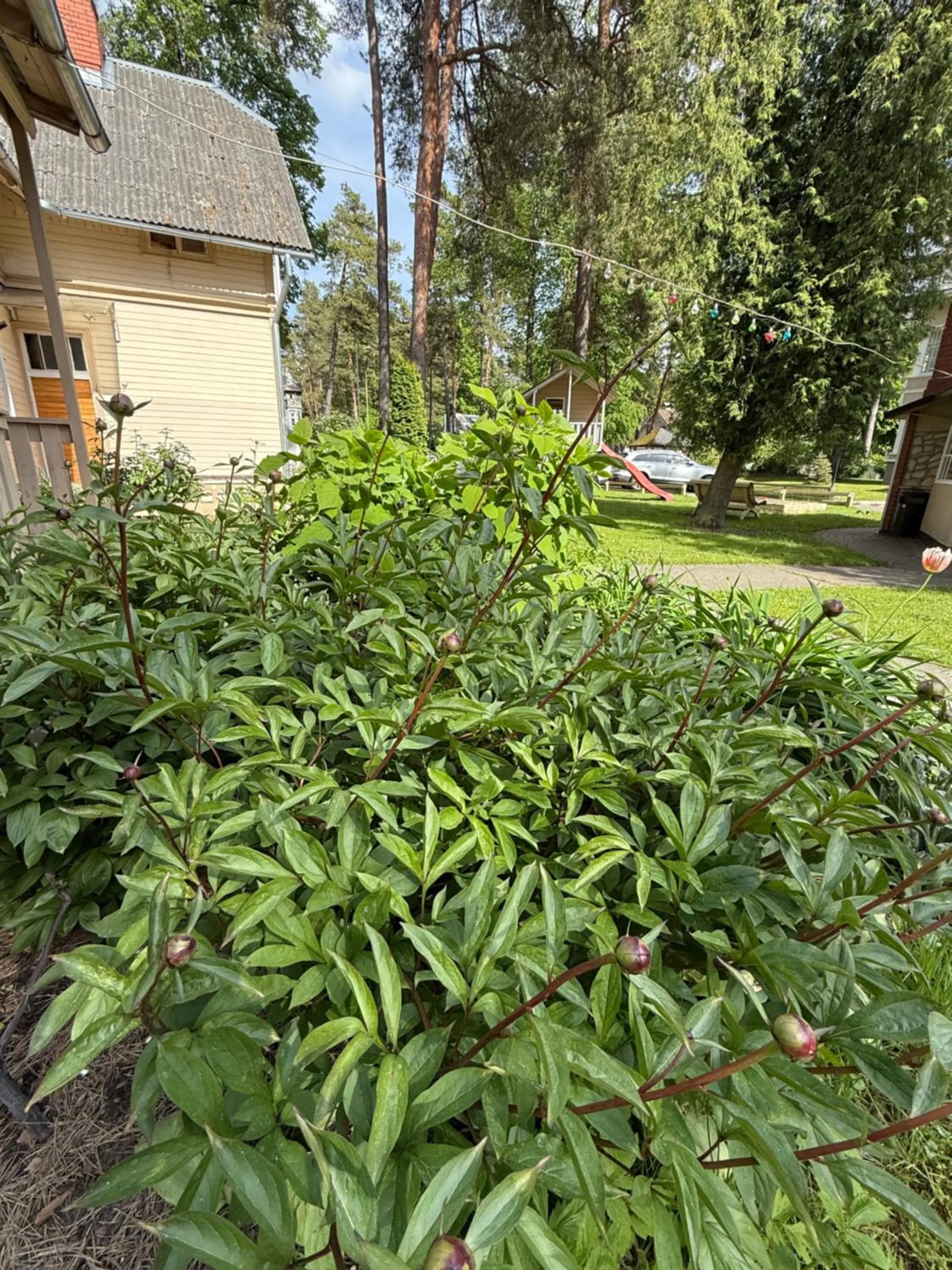 Natural landscape in Amber Coast & Sea