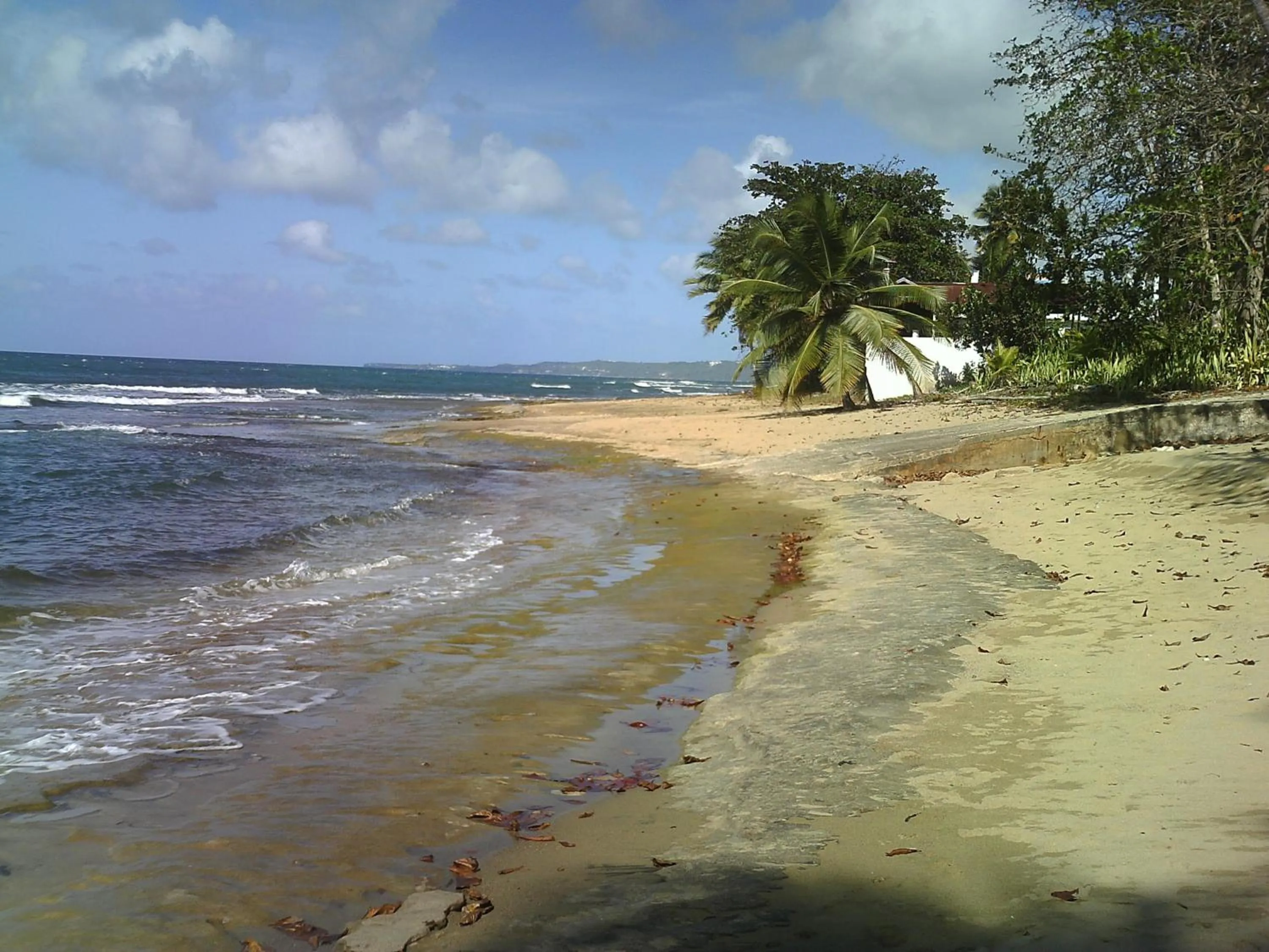 View (from property/room) in Hotel Colombus