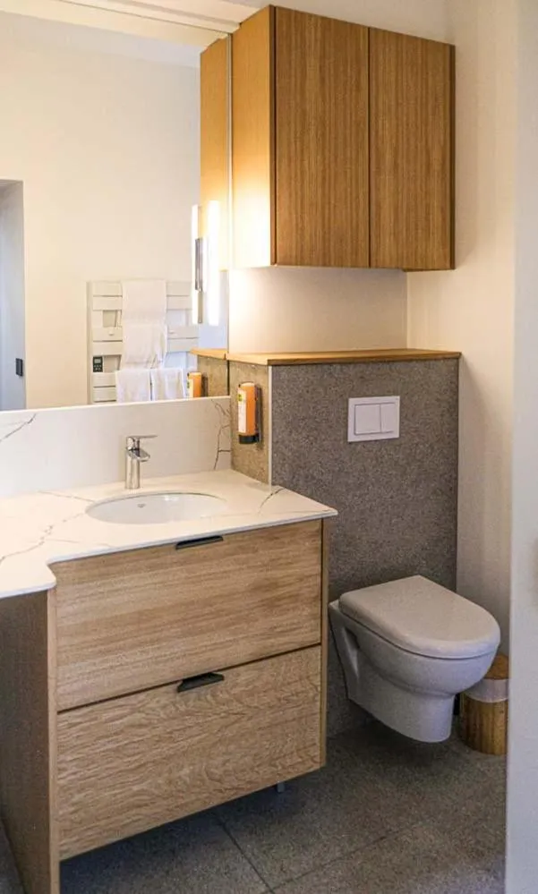 Logis Hotel Erreguina