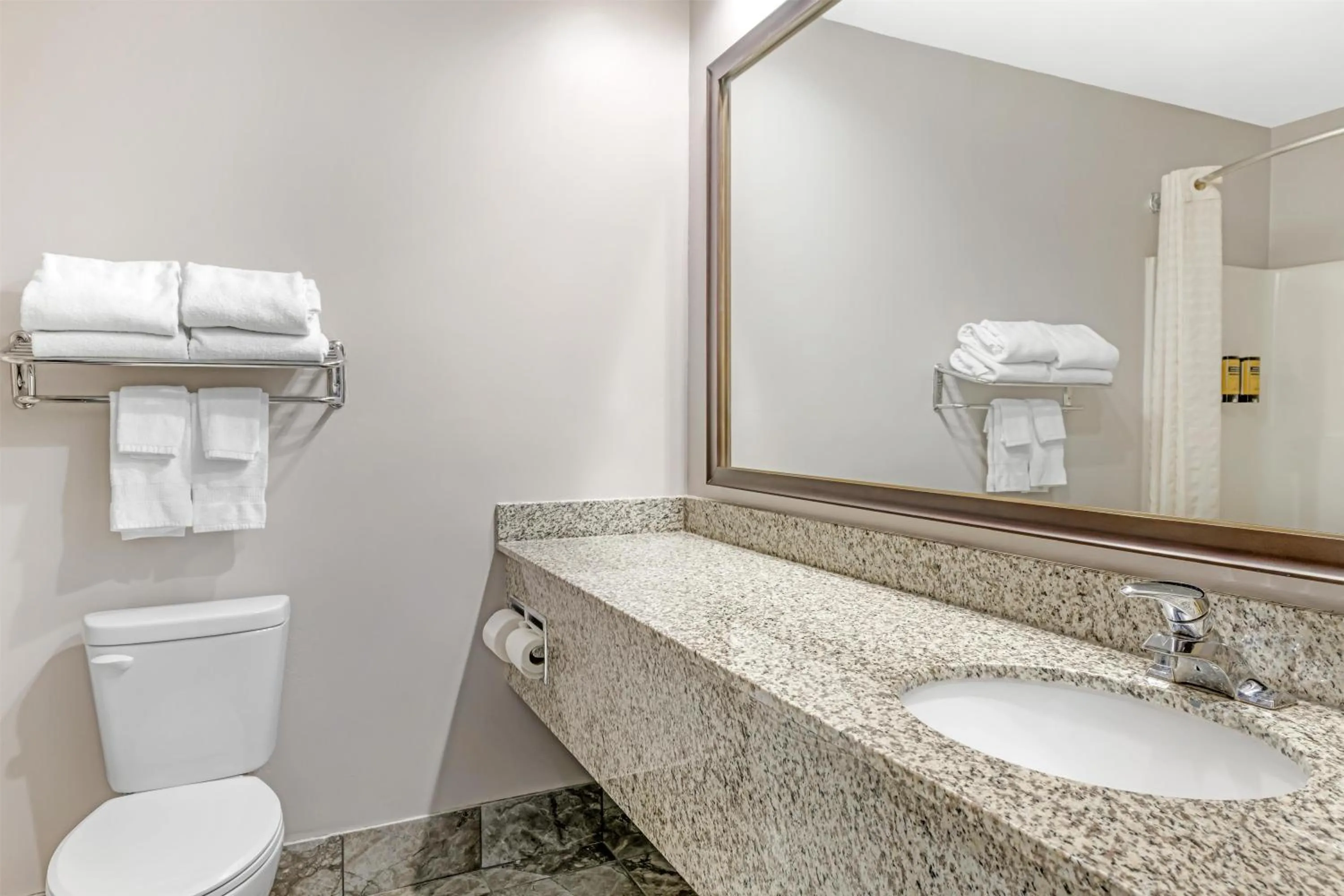 Bathroom in Best Western Plus Eau Claire Conference Center