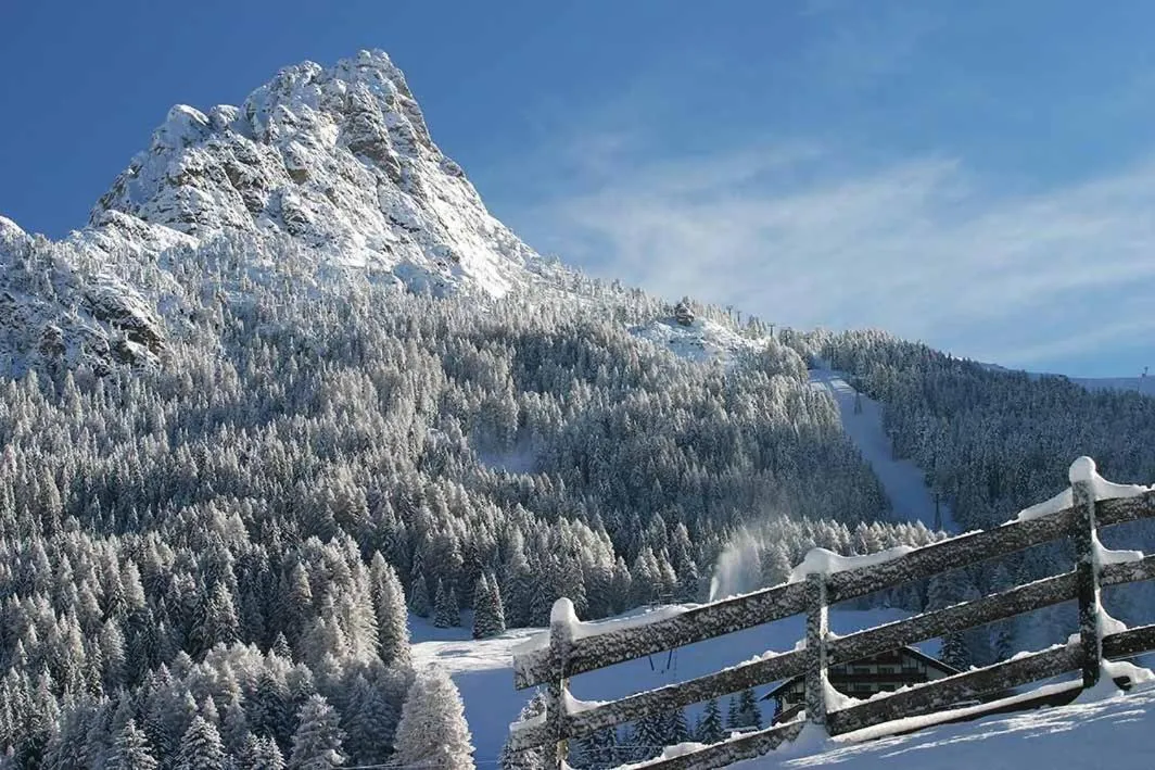 Area and facilities in Hotel Garni Morene