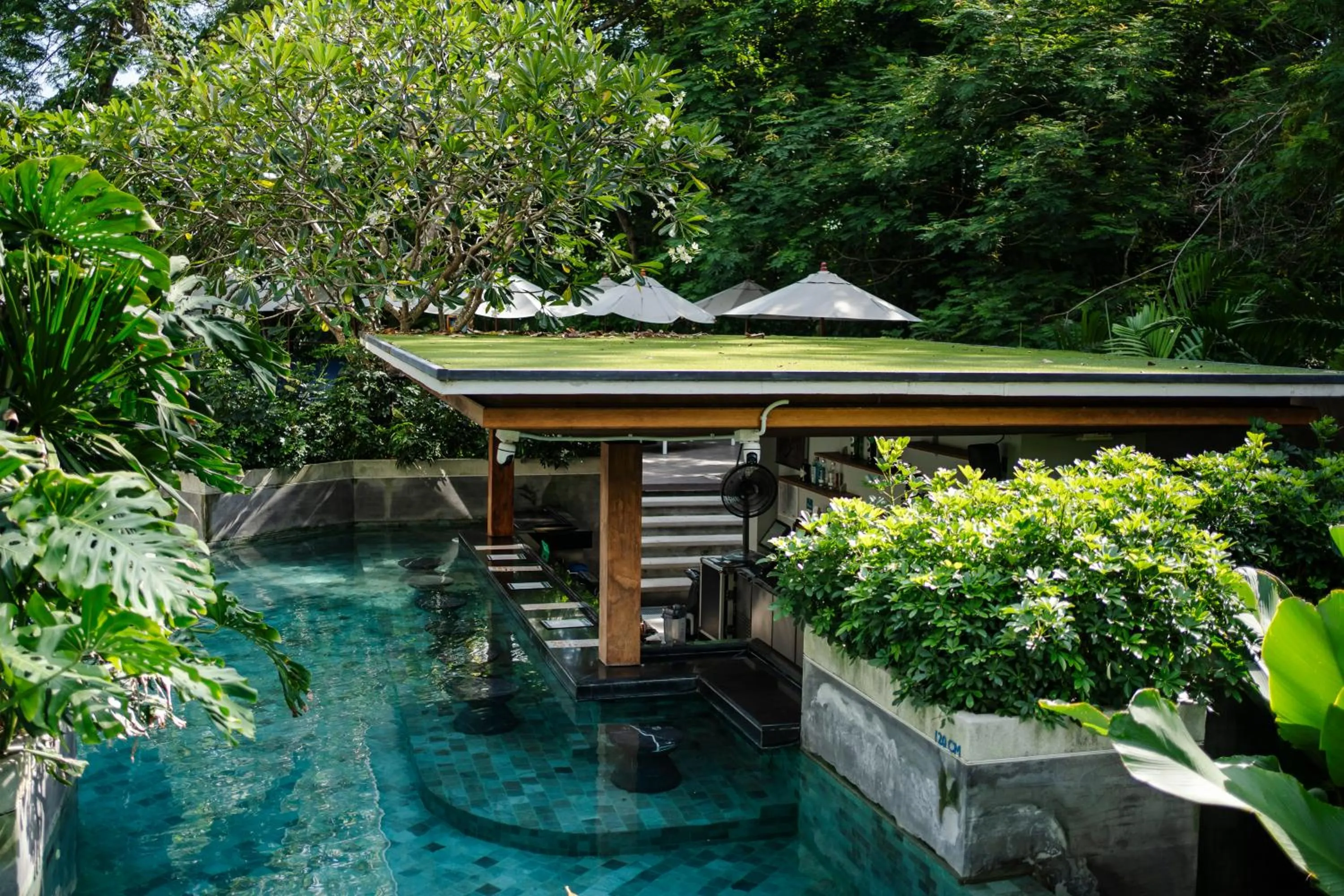 Pool view in The Nature Phuket