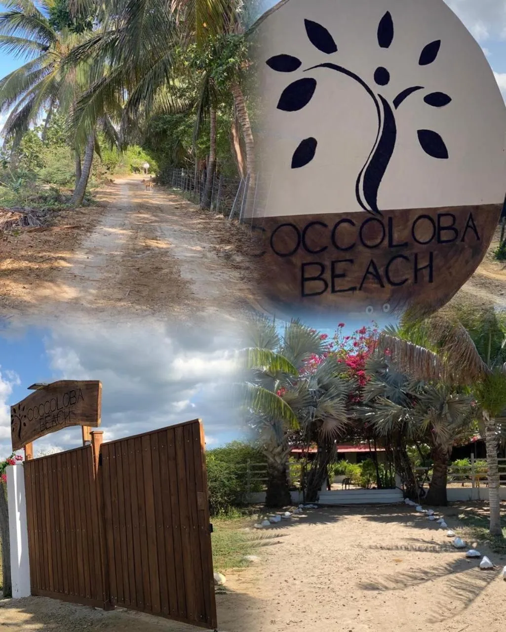 Coccoloba Beach Hotel