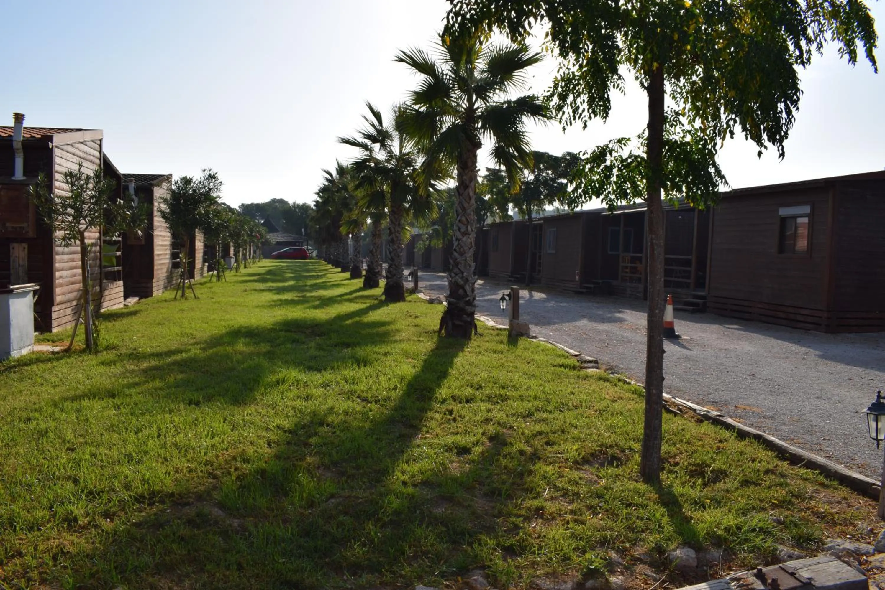 Garden in Bungalows Park Albufera