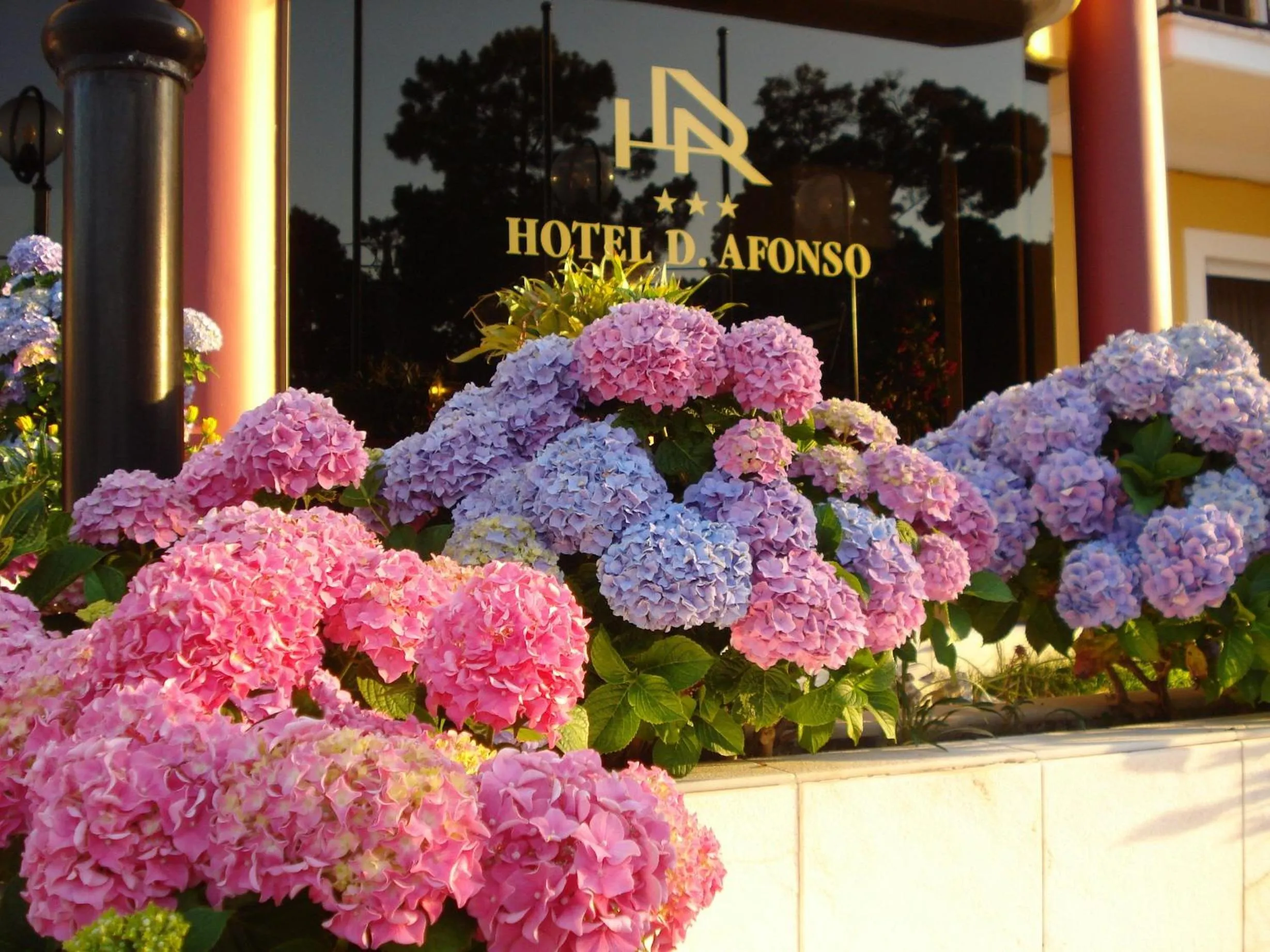 Facade/entrance in D. Afonso Hotel & SPA