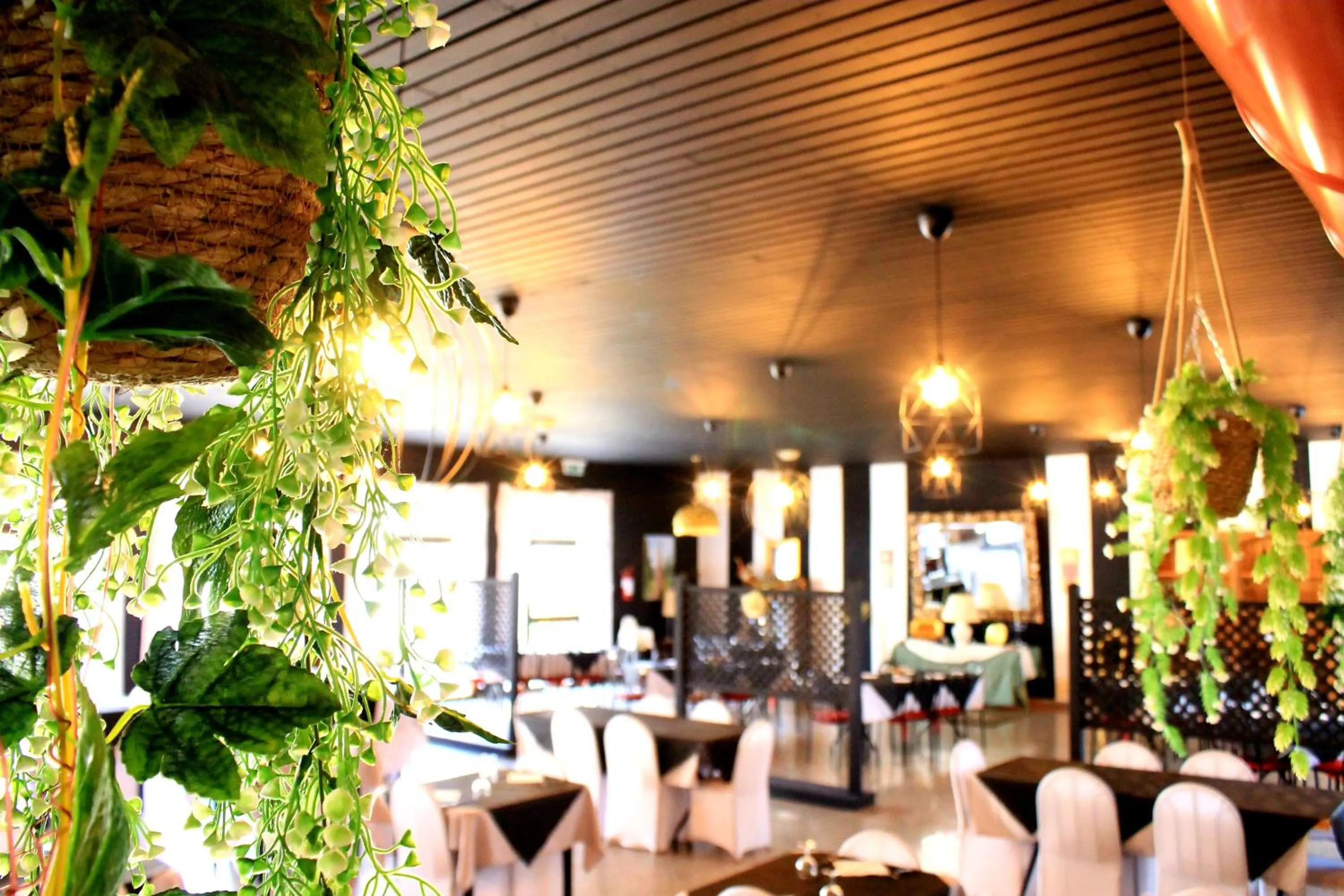 Restaurant/places to eat in Hotel Nuovo Sole HNS