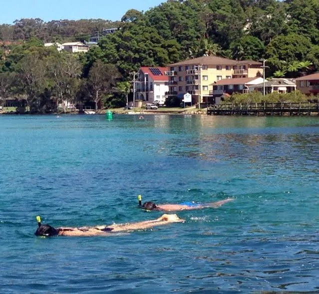 Snorkeling in Marcel Towers Holiday Apartments