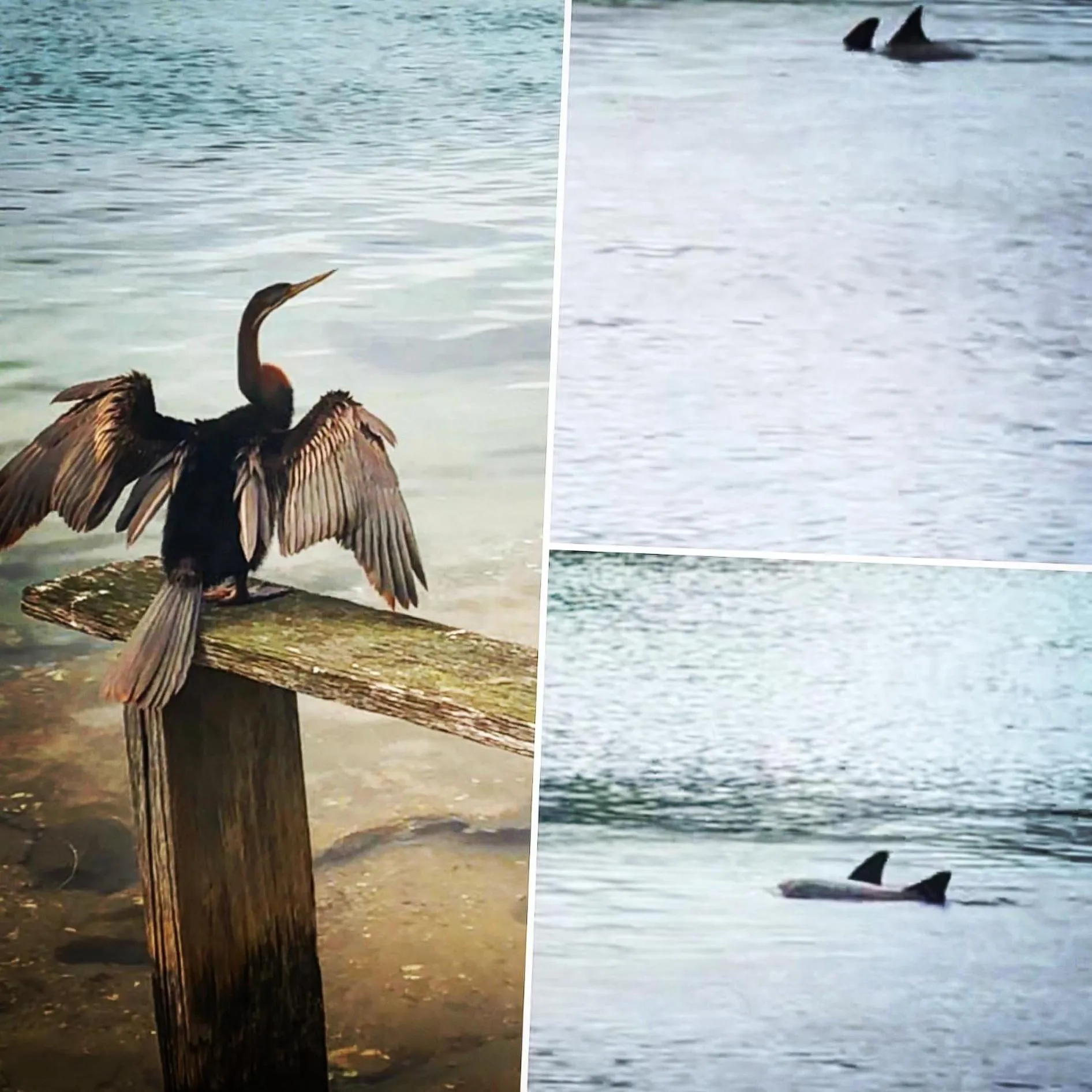 River view in Marcel Towers Holiday Apartments