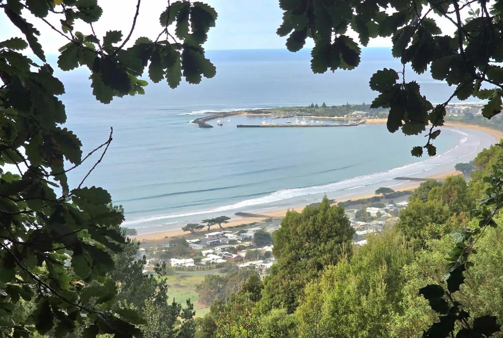 Seaview Motel & Apartments